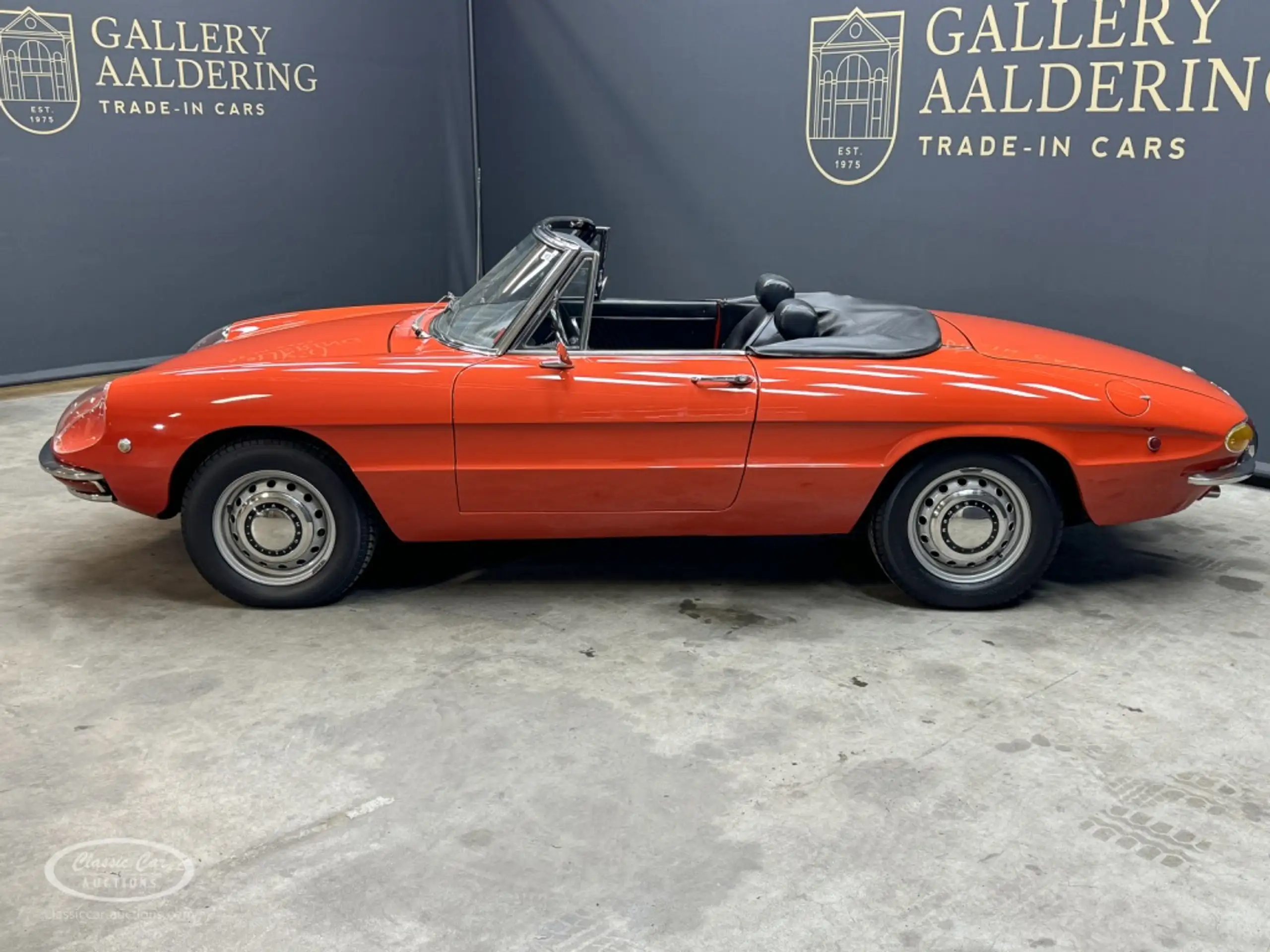 Alfa Romeo - Spider