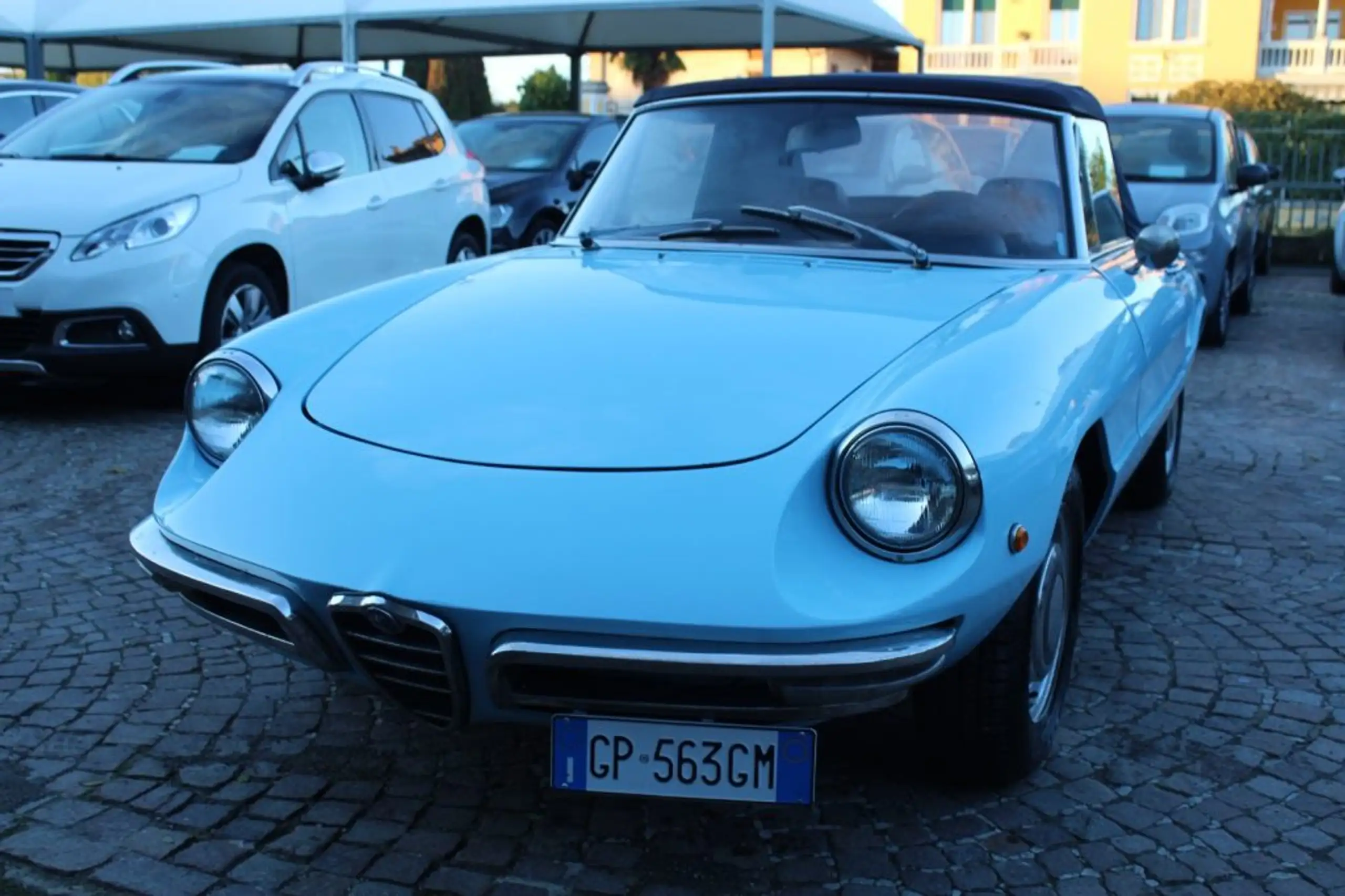 Alfa Romeo - Spider