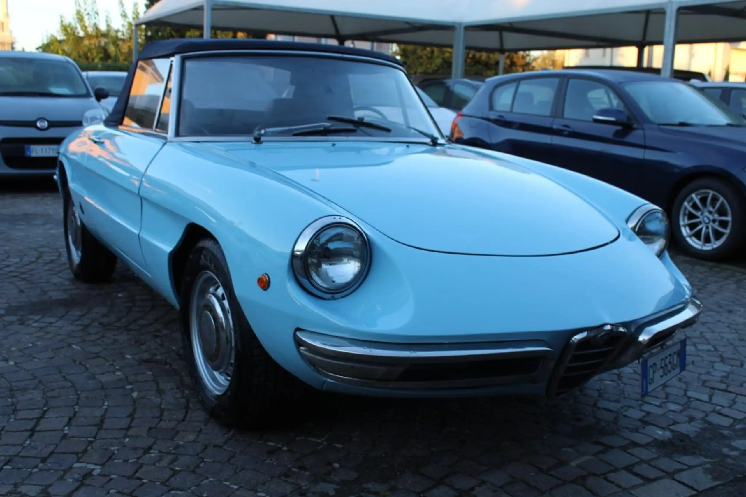 Alfa Romeo - Spider