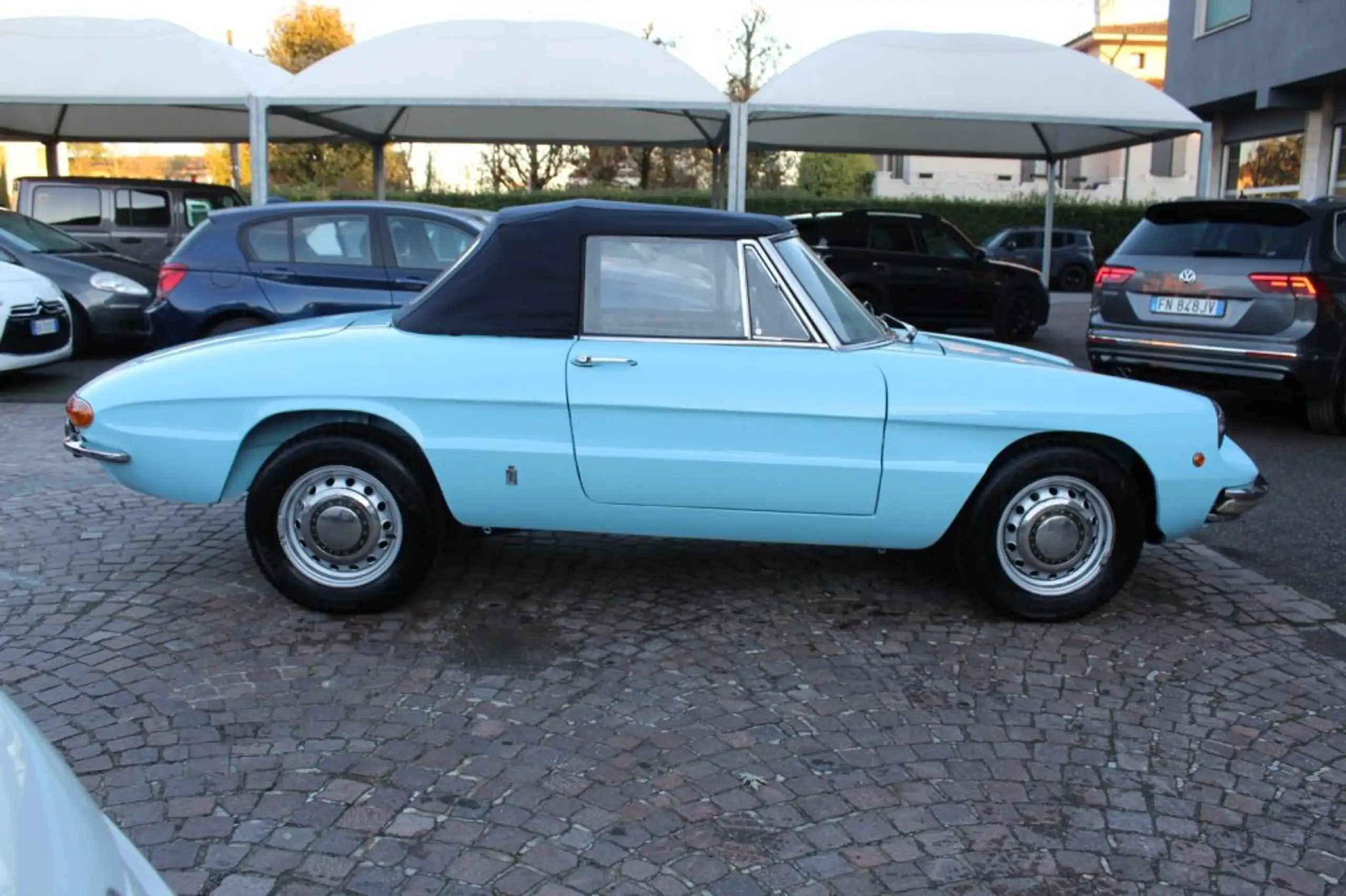 Alfa Romeo - Spider