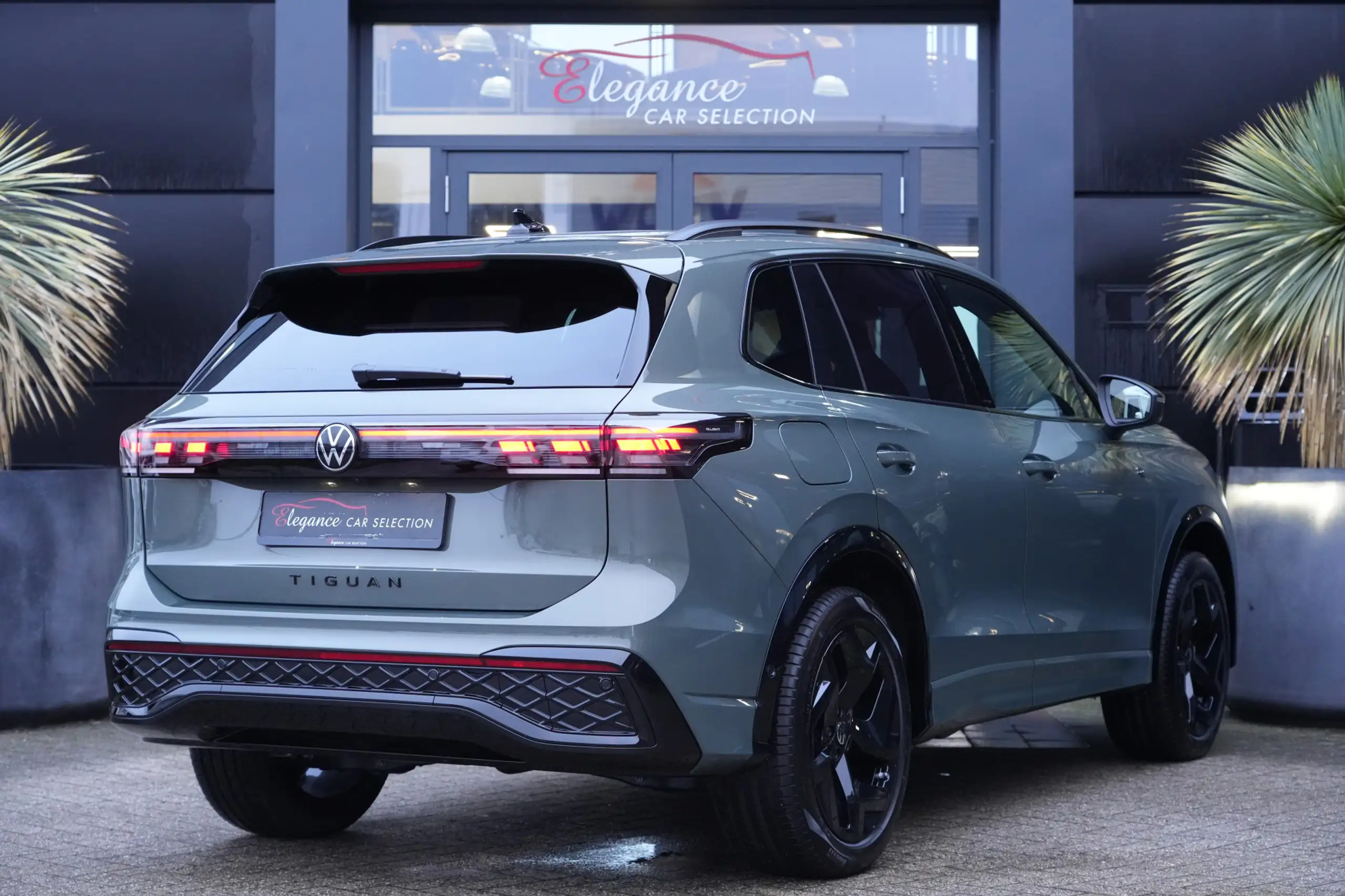 Volkswagen - Tiguan