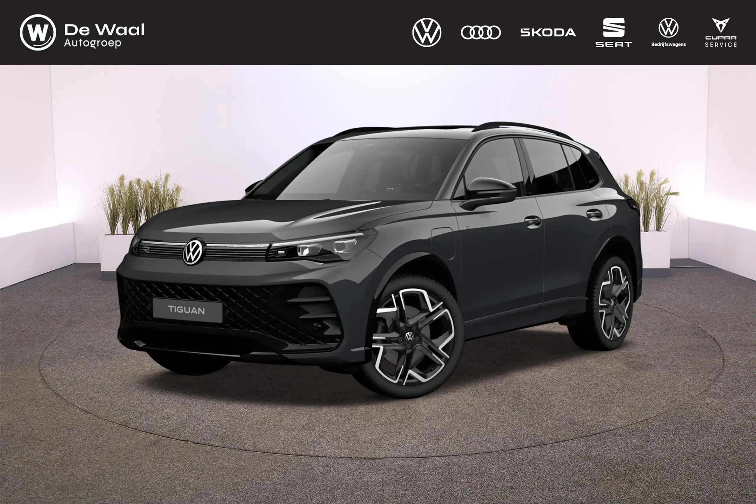 Volkswagen - Tiguan