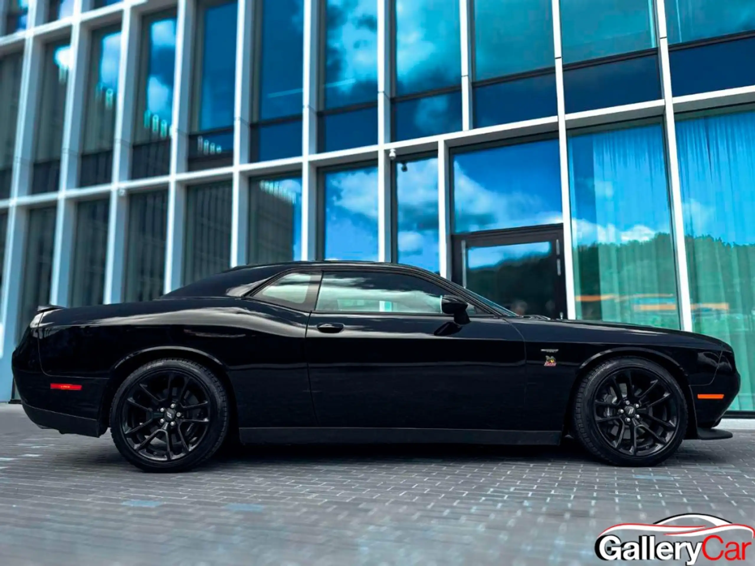 Dodge - Challenger