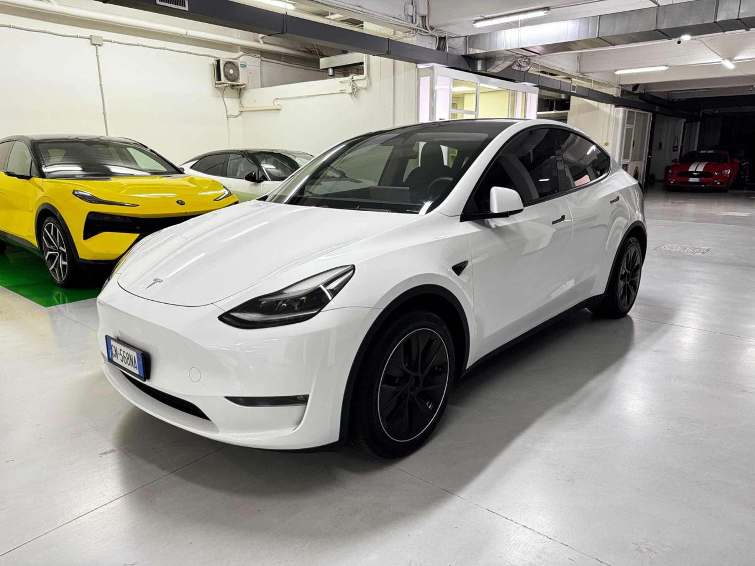 Tesla Model Y 2023