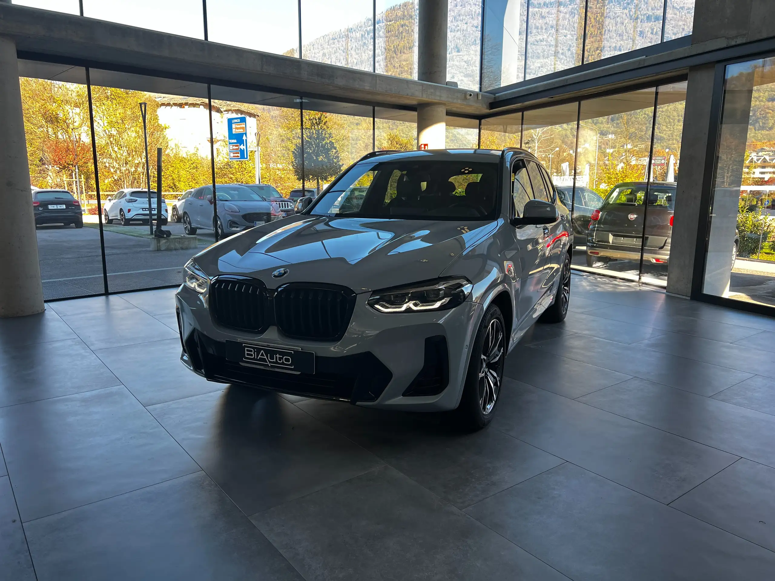 BMW - X3