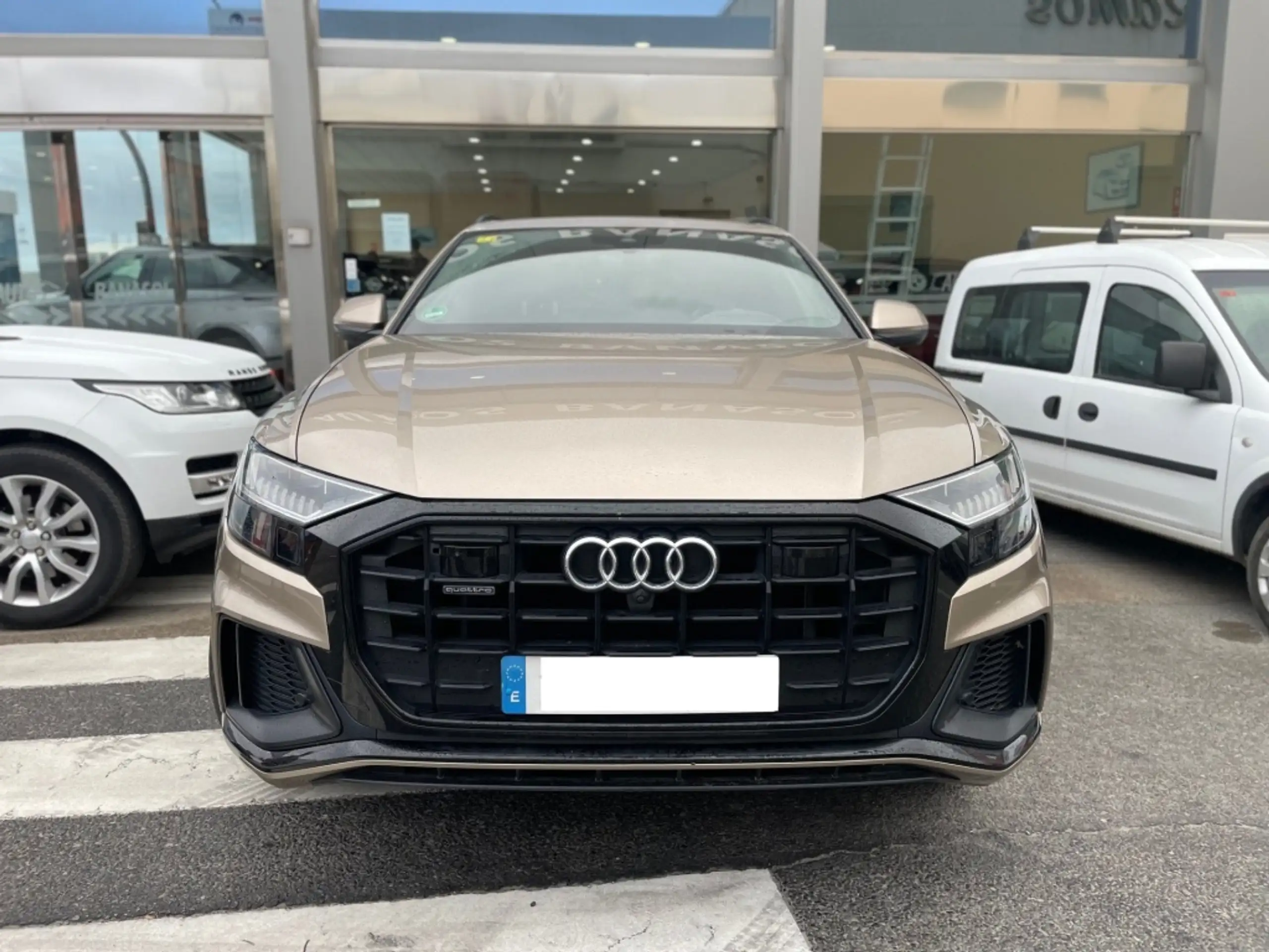 Audi Q8 2019