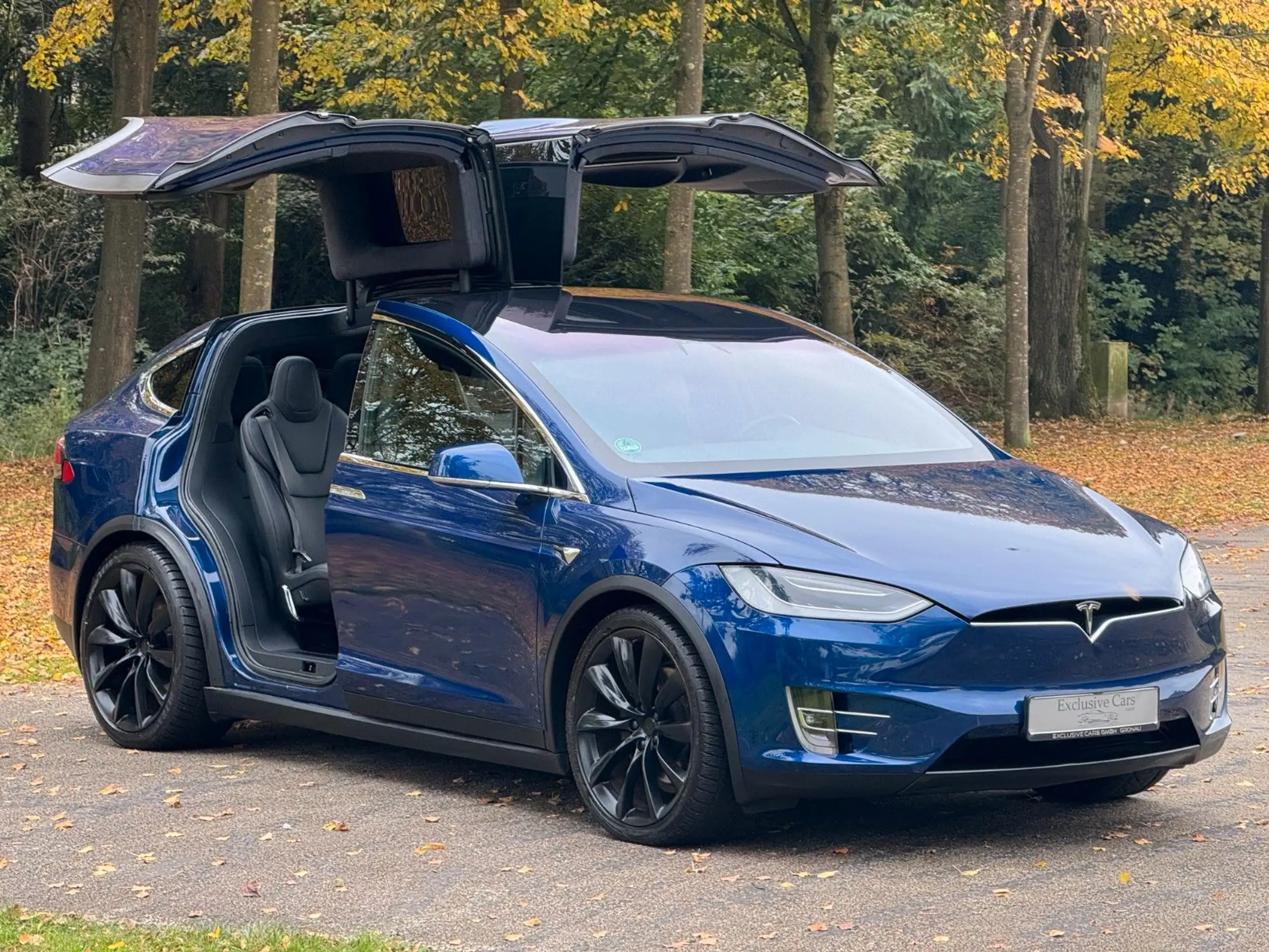 Tesla - Model X