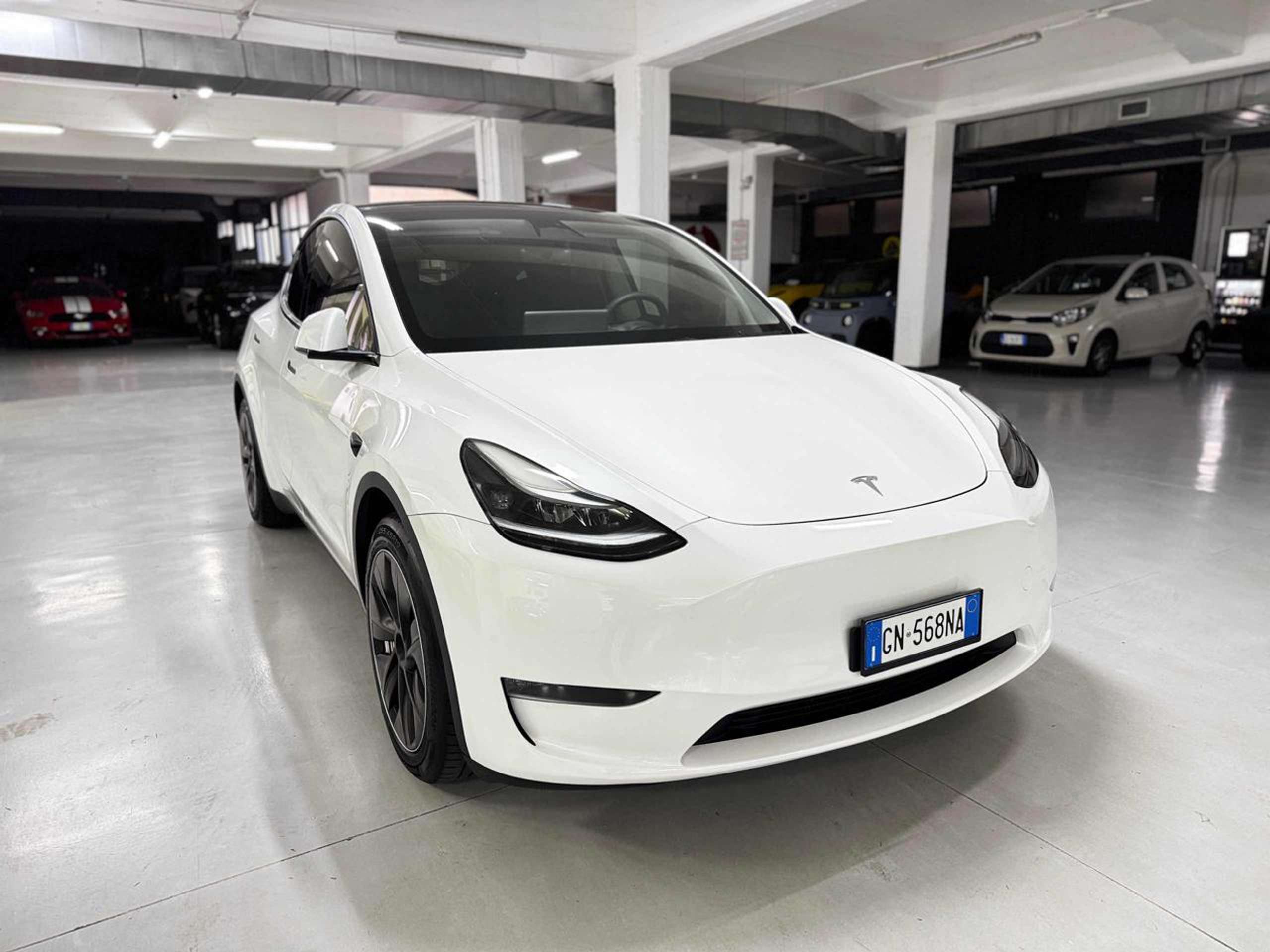 Tesla - Model Y