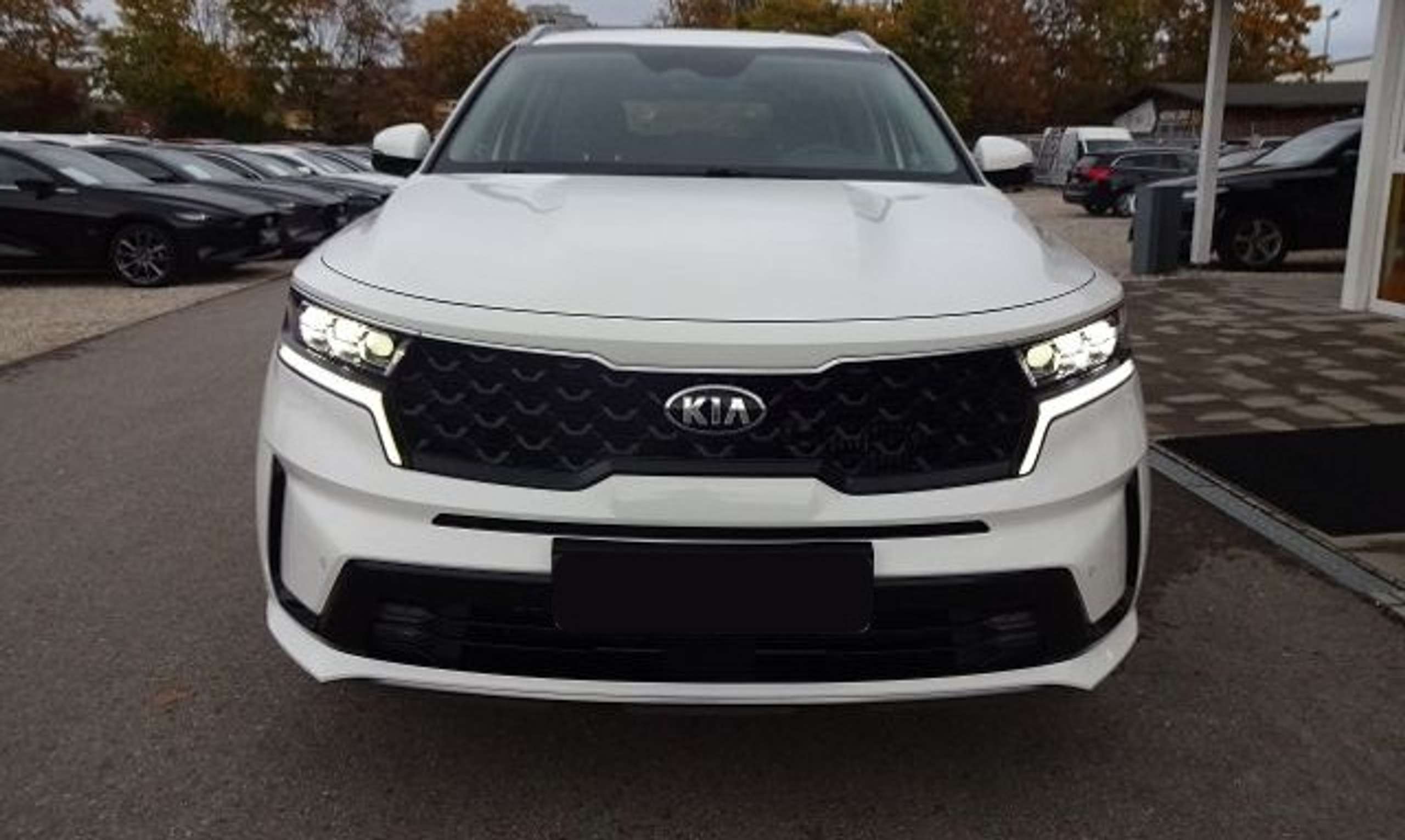 Kia - Sorento