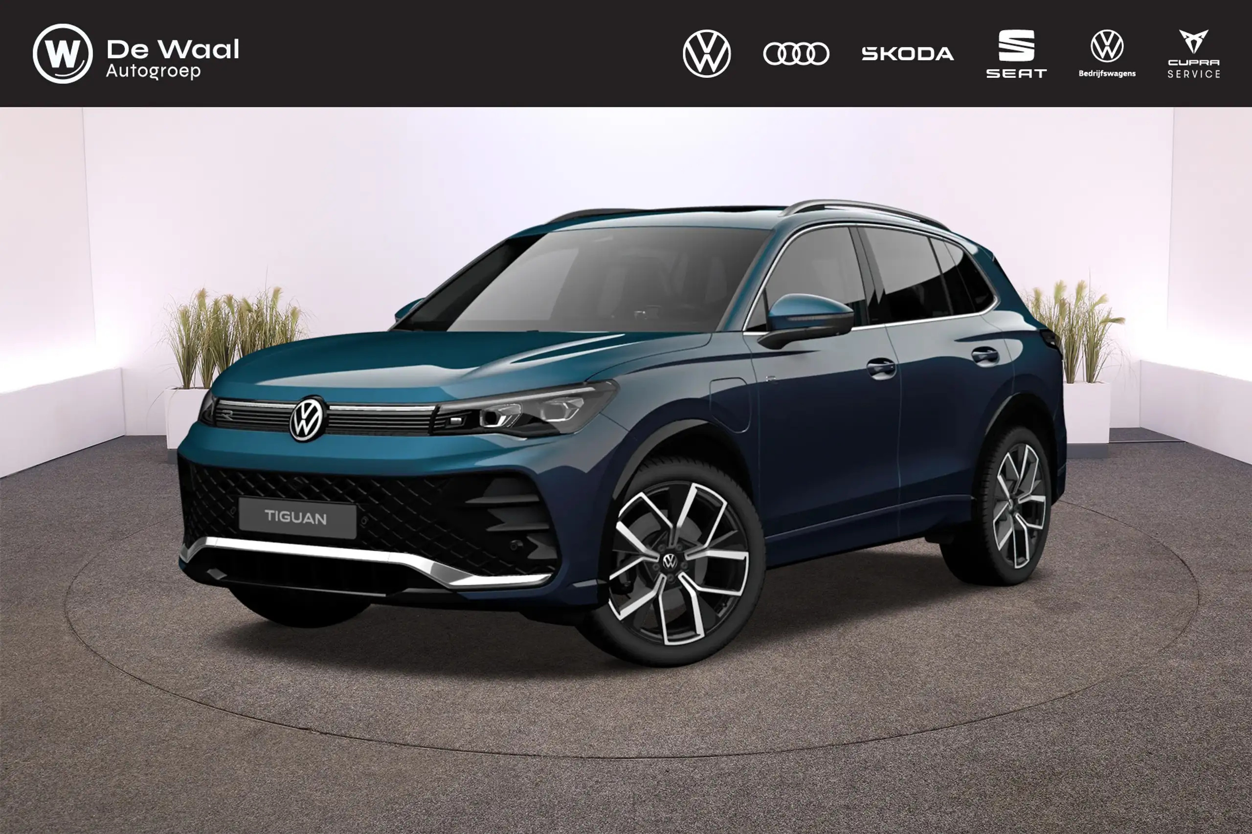 Volkswagen - Tiguan