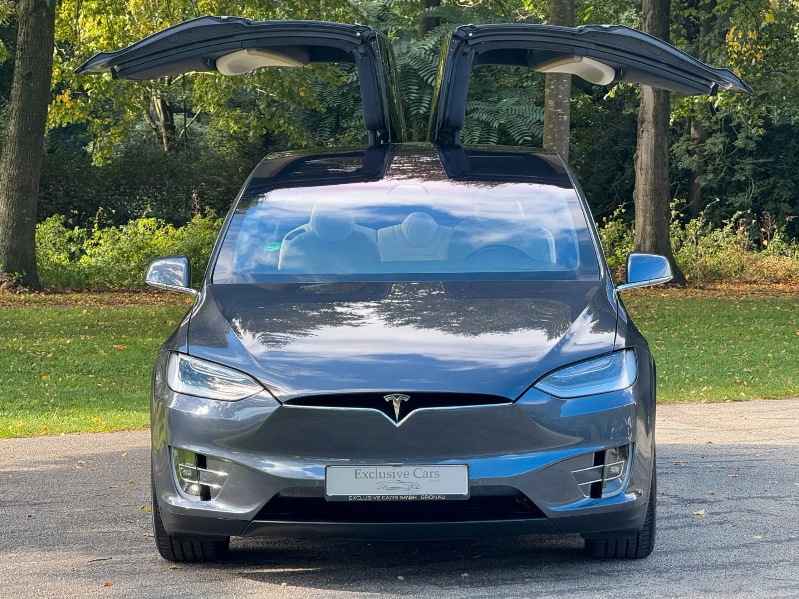 Tesla - Model X