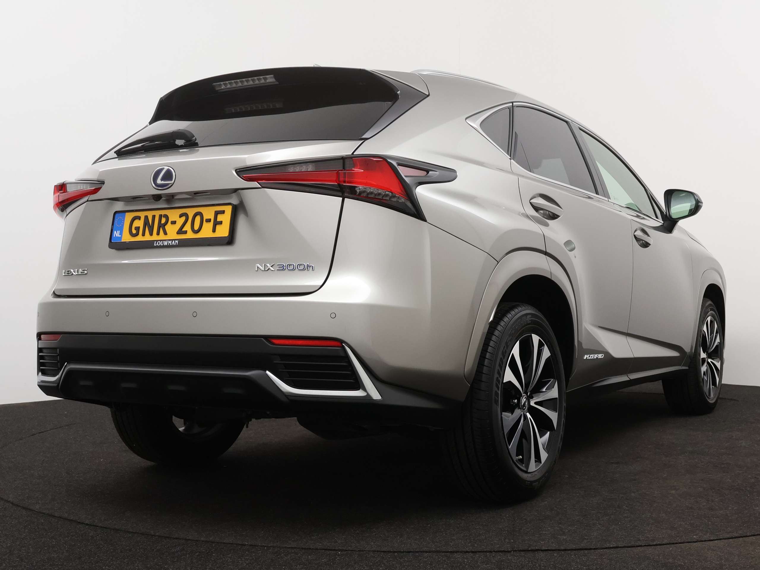 Lexus - NX 300h