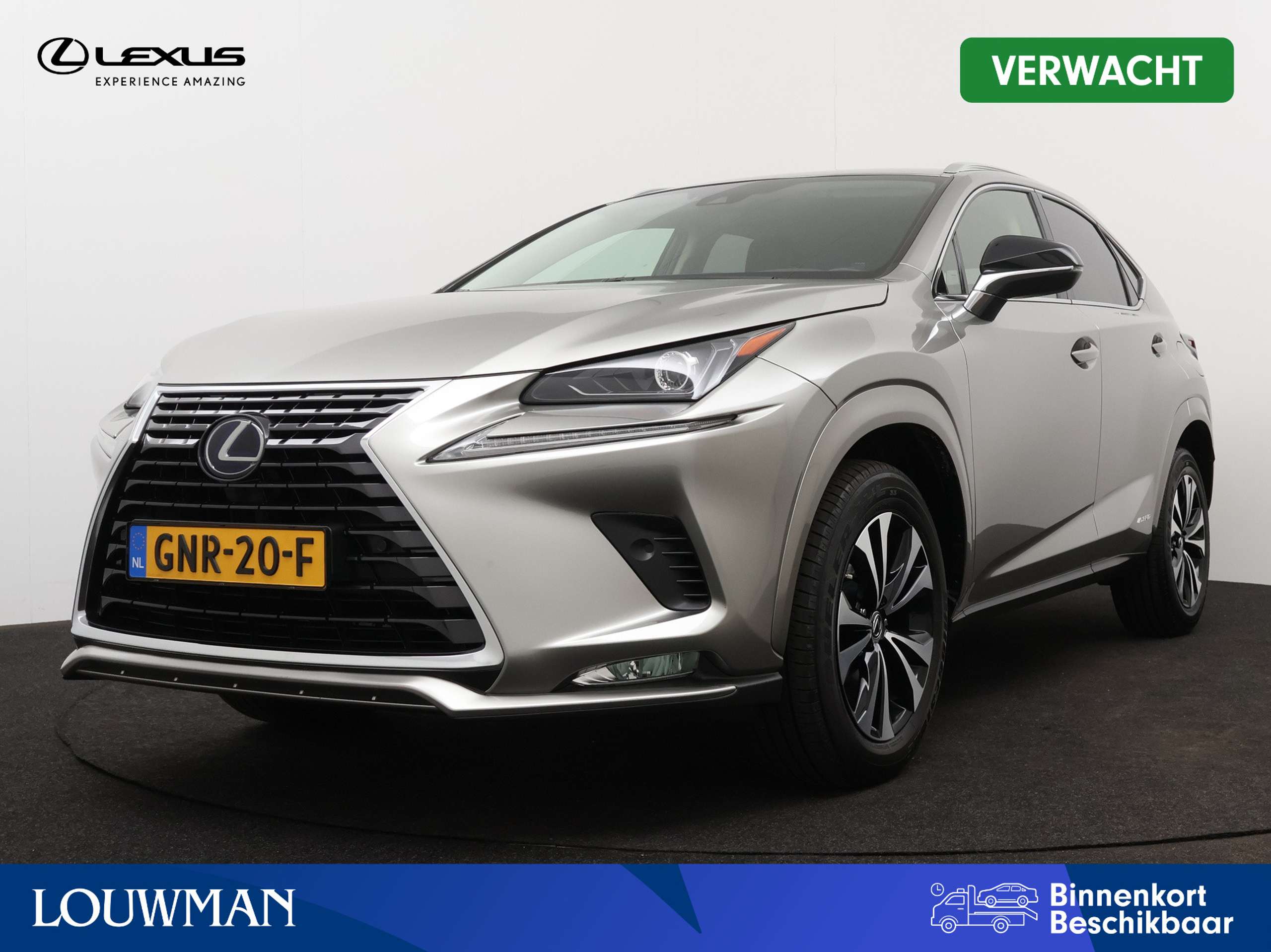 Lexus - NX 300h