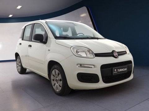 Fiat - Panda