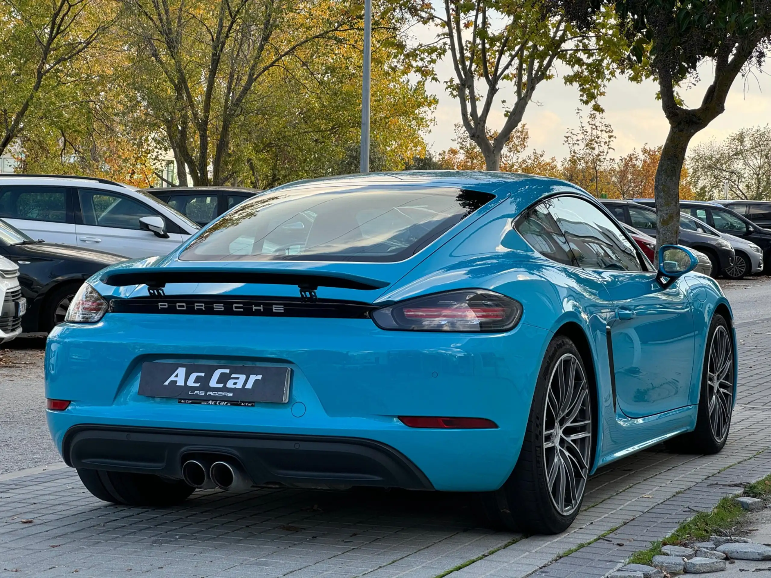 Porsche - Cayman