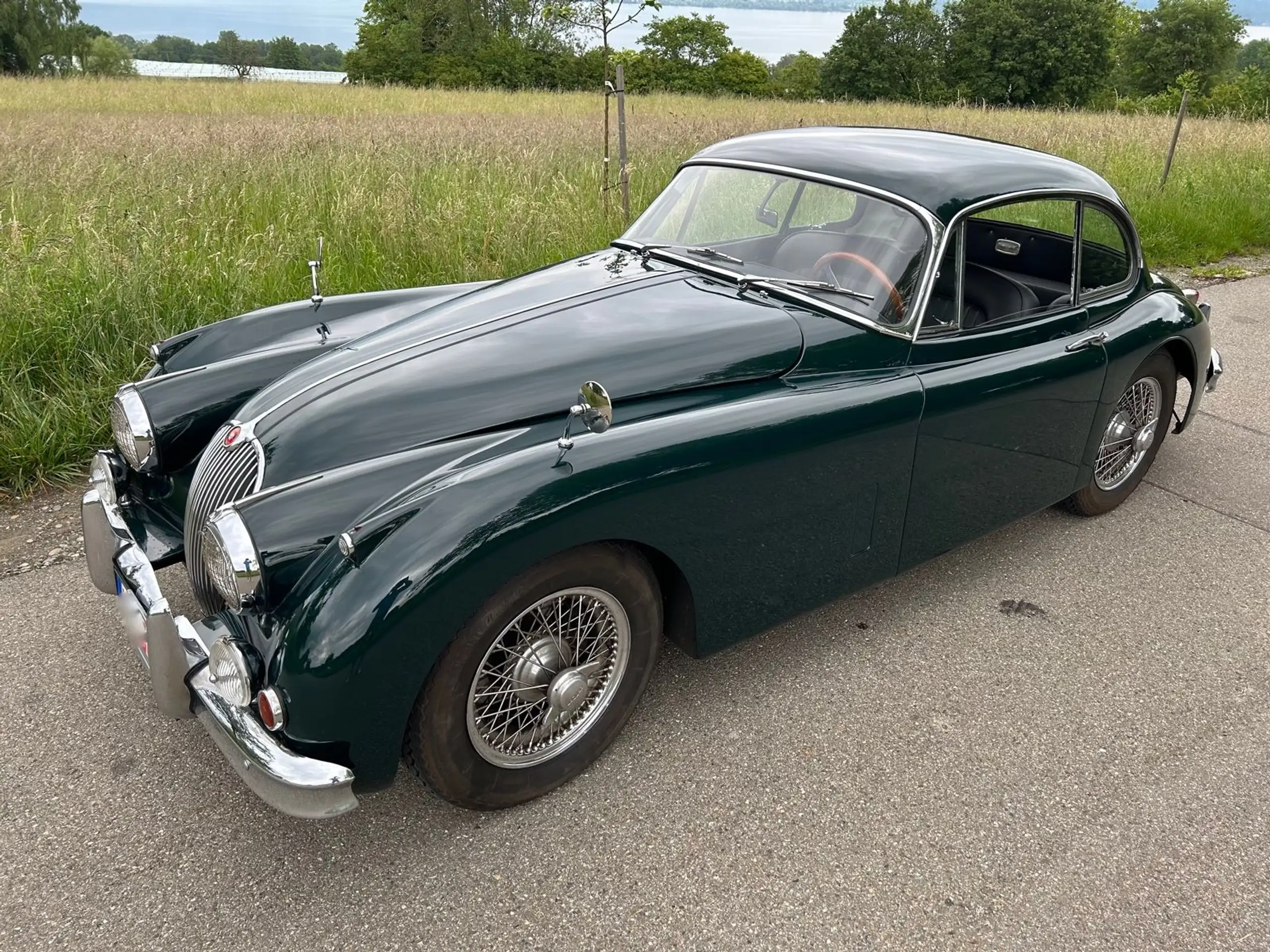 Jaguar - XK