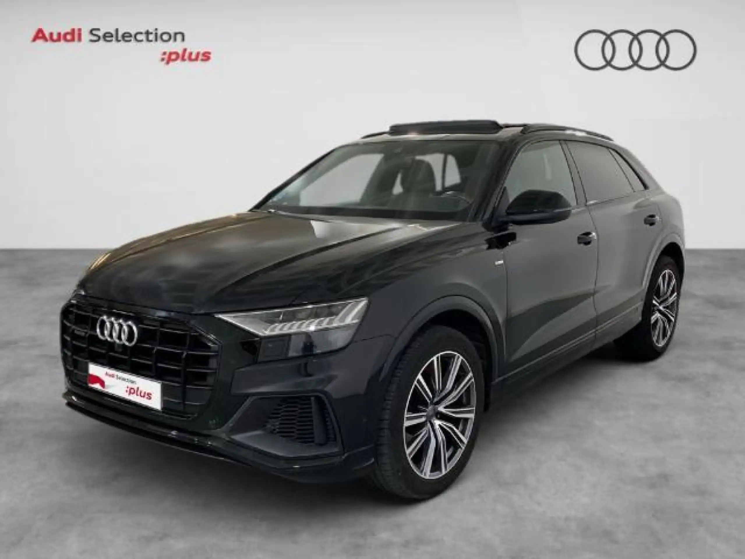 Audi Q8 2019