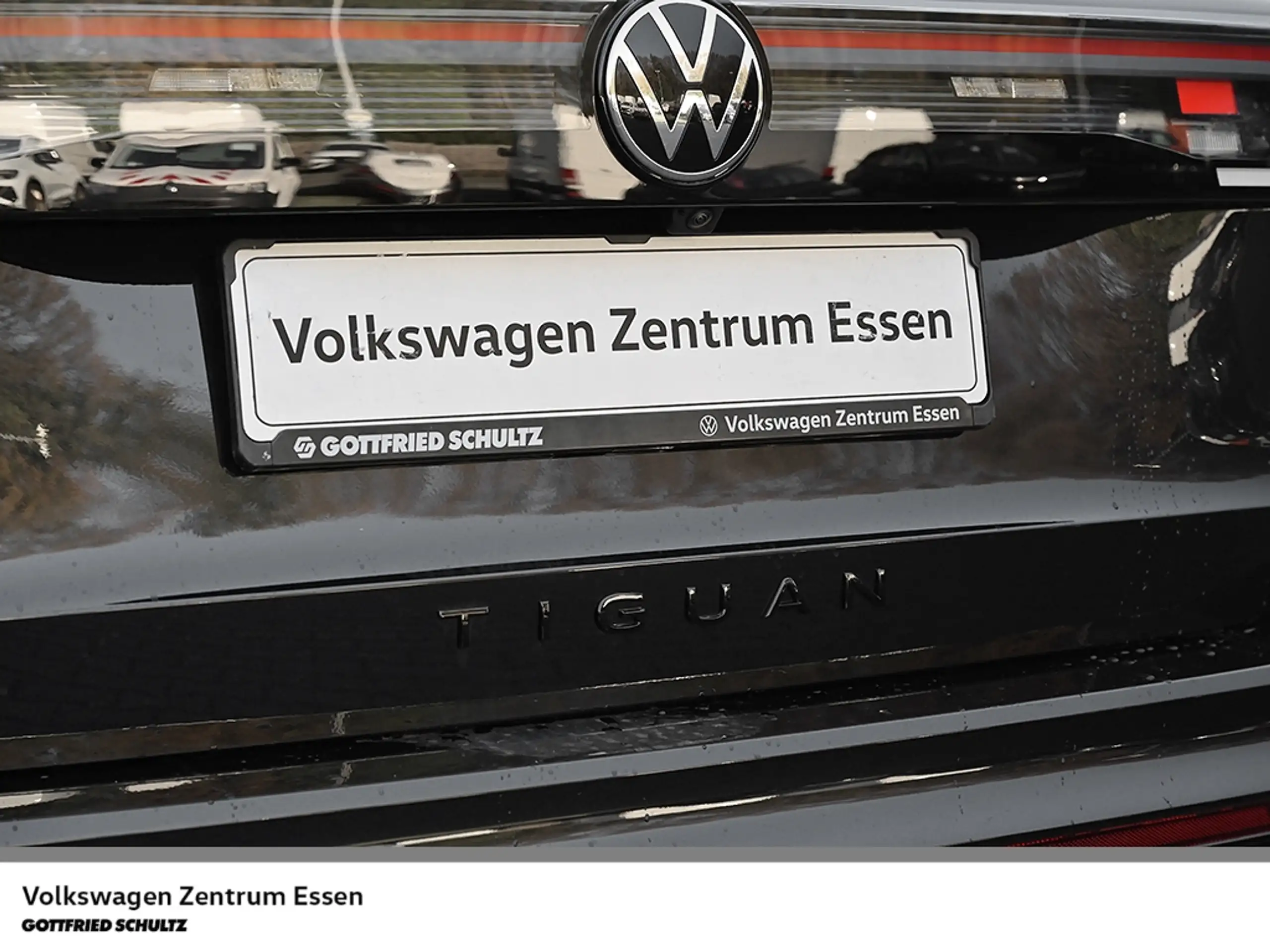 Volkswagen - Tiguan