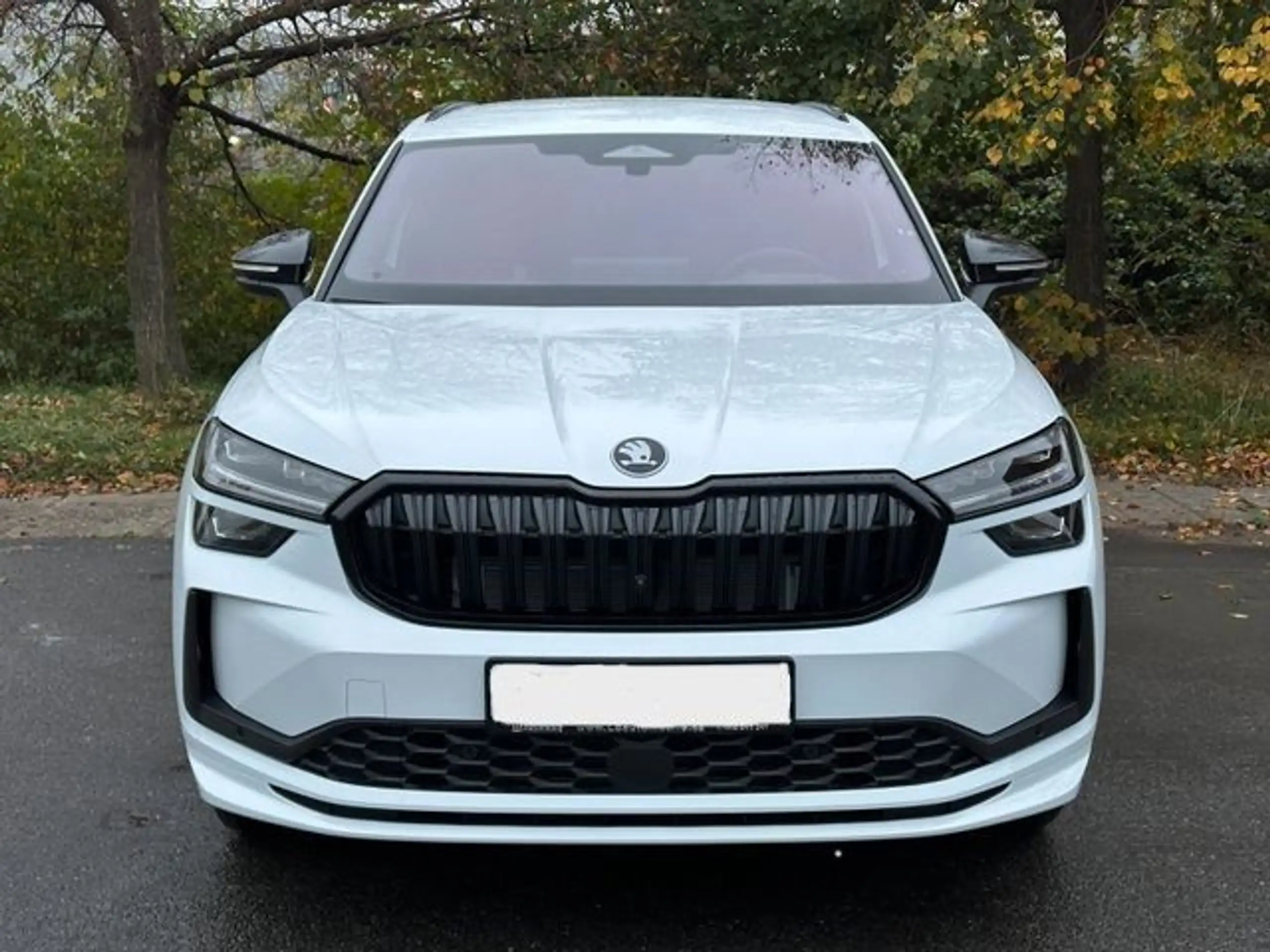 Skoda Kodiaq 2019