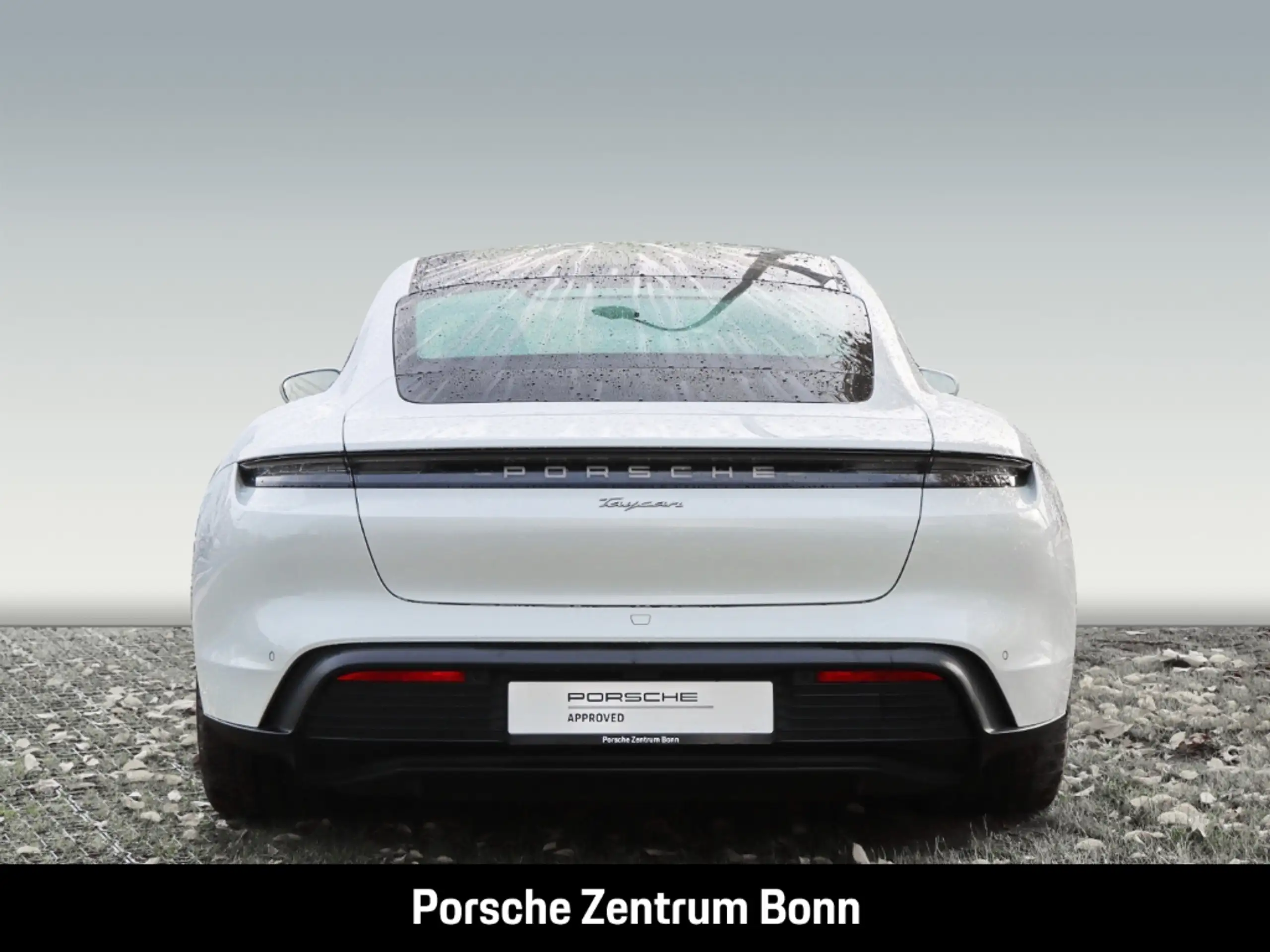 Porsche - Taycan