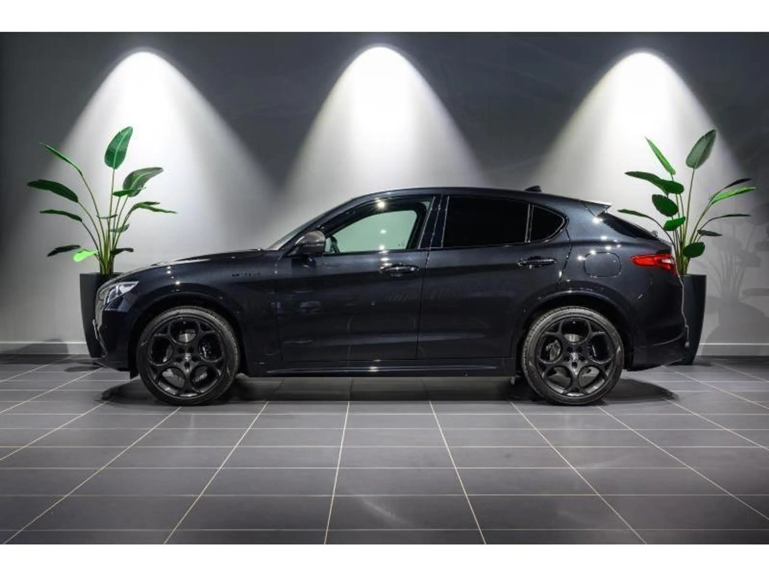 Alfa Romeo - Stelvio