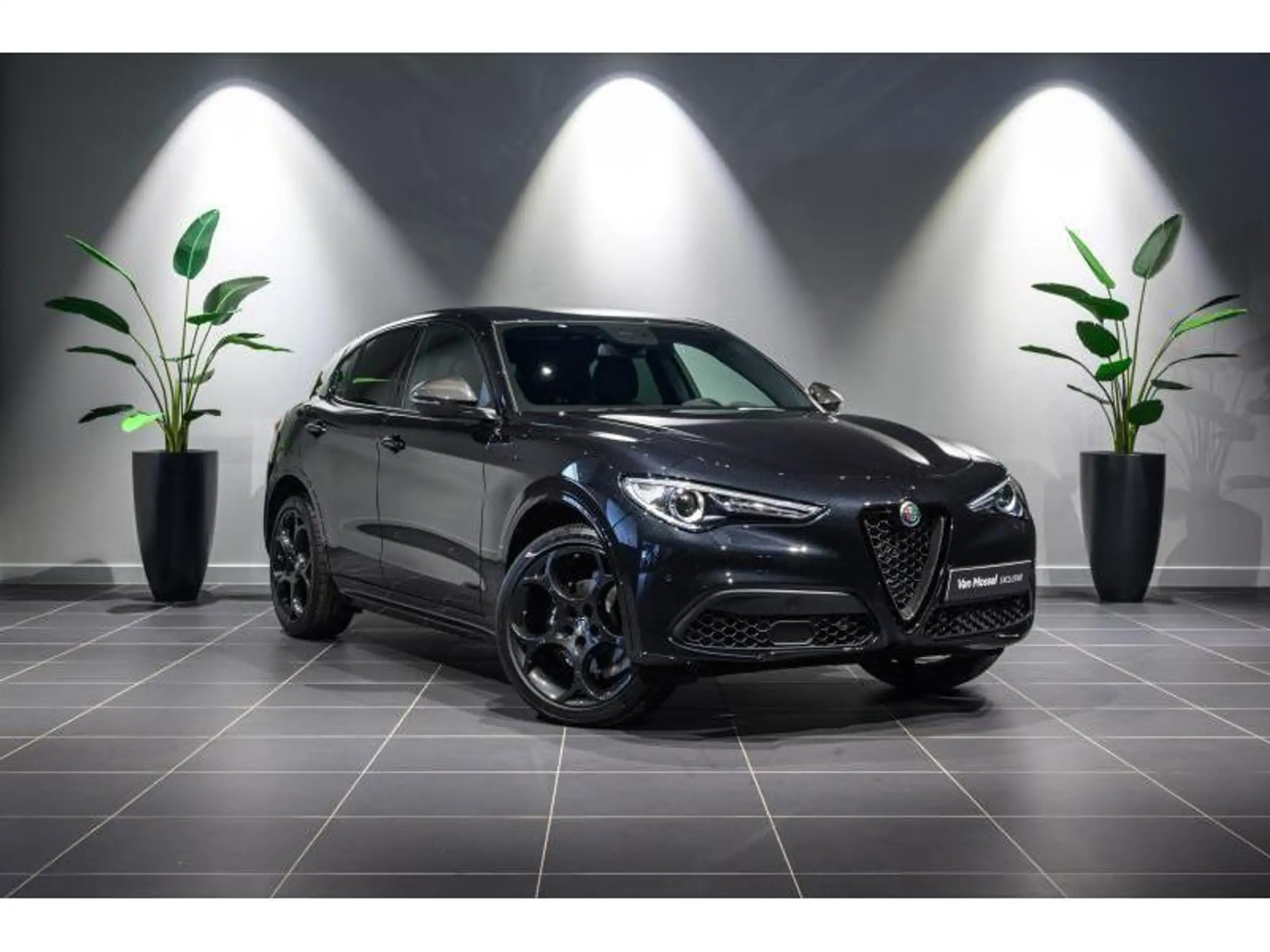 Alfa Romeo - Stelvio