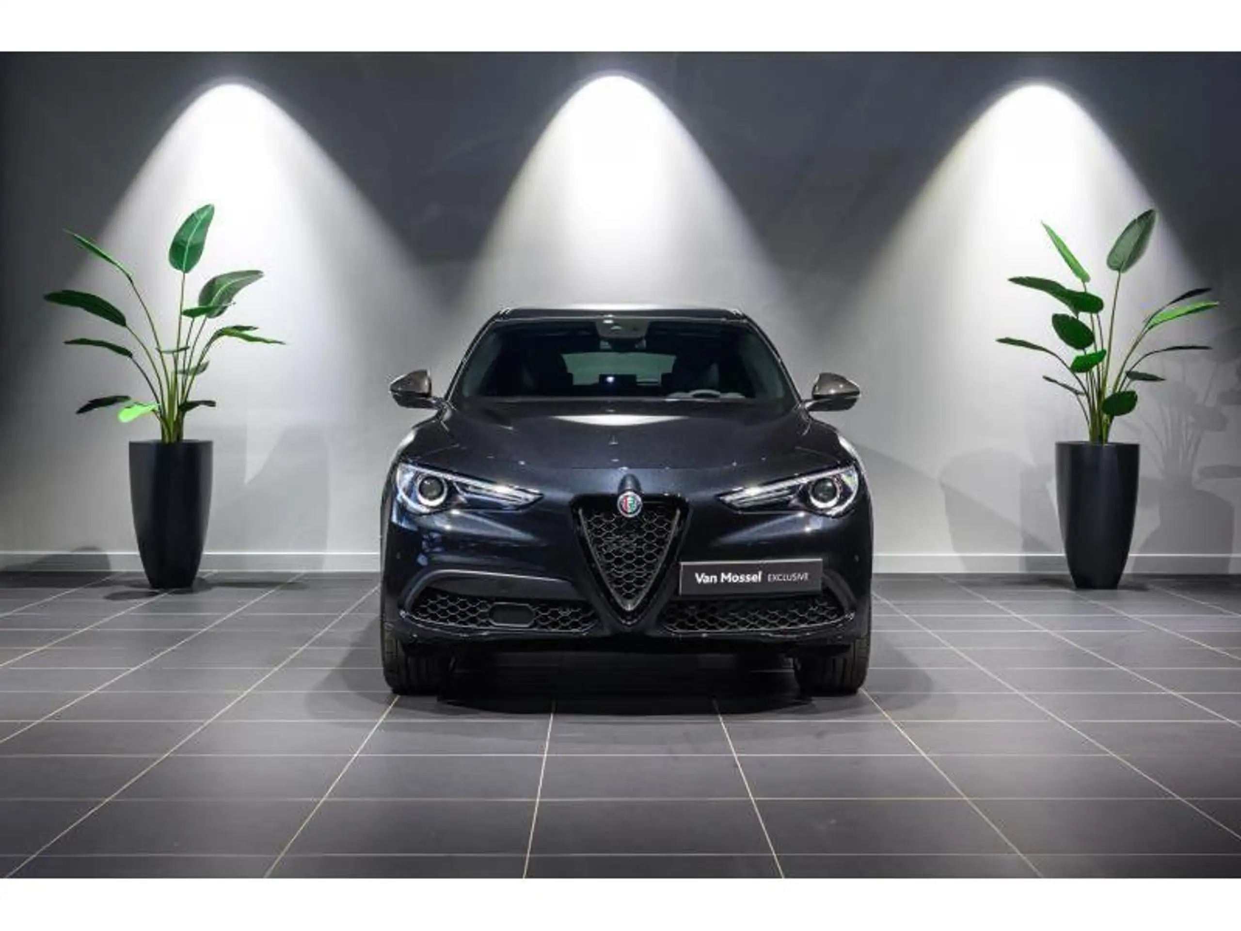 Alfa Romeo - Stelvio