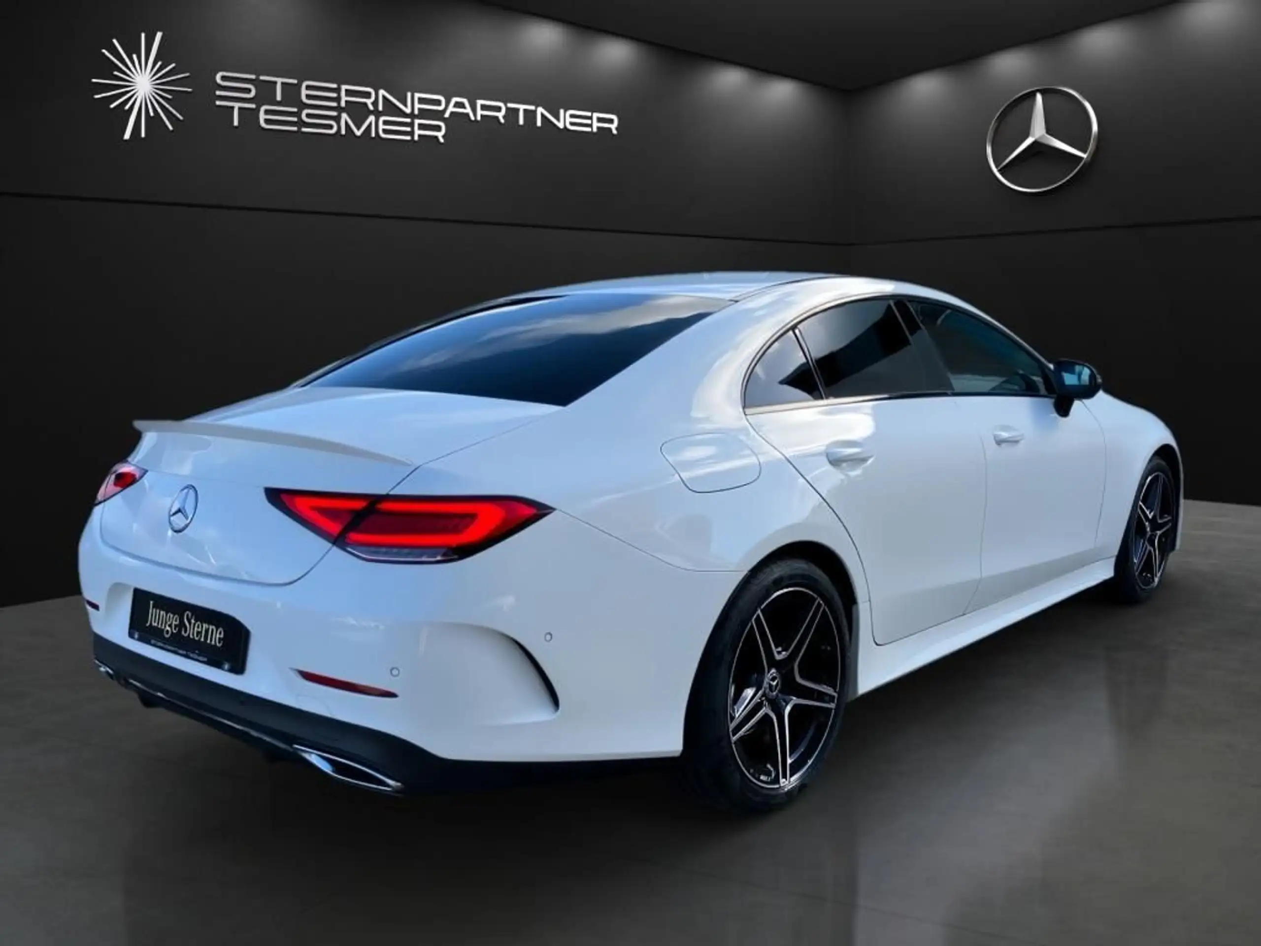 Mercedes-Benz - CLS 300