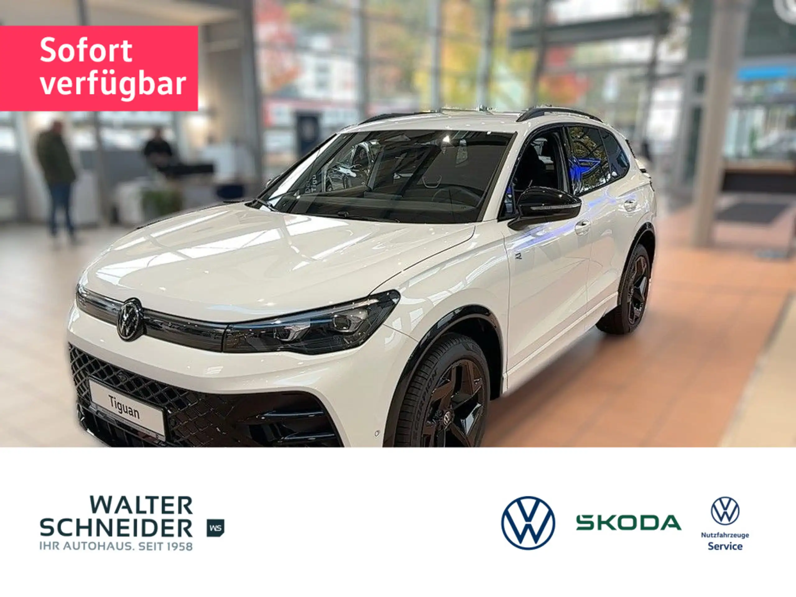 Volkswagen - Tiguan