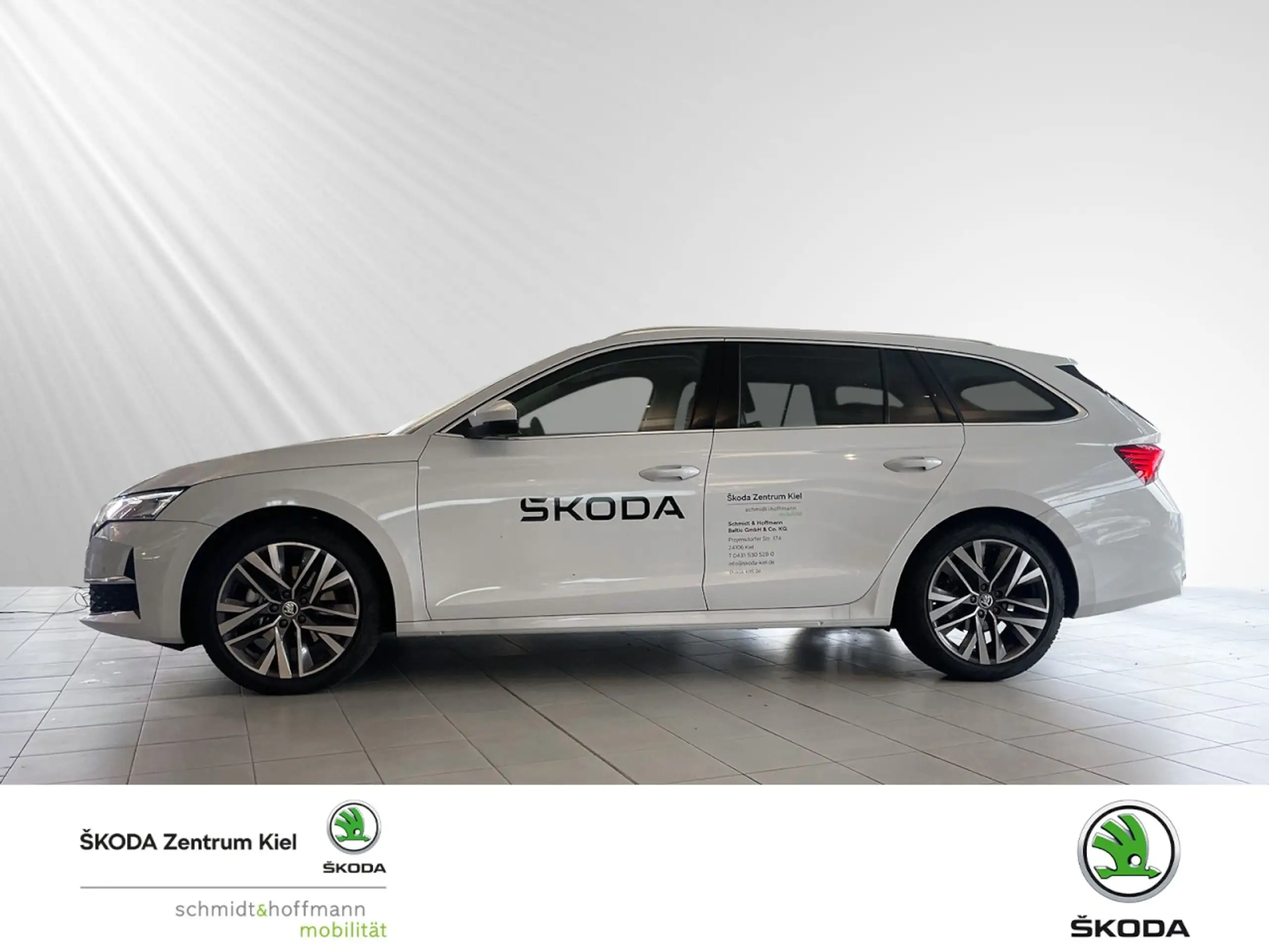 Skoda - Octavia