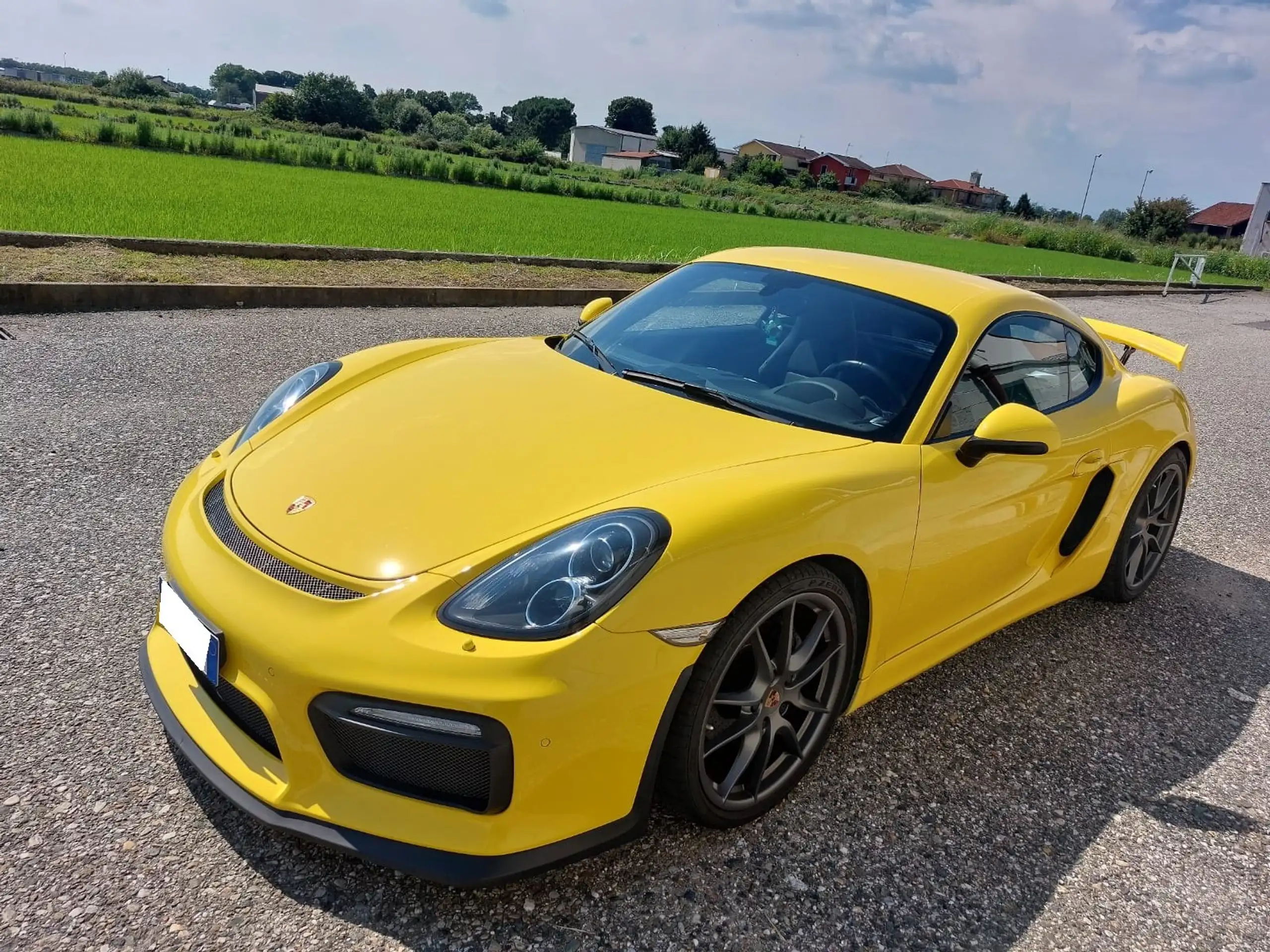 Porsche - Cayman