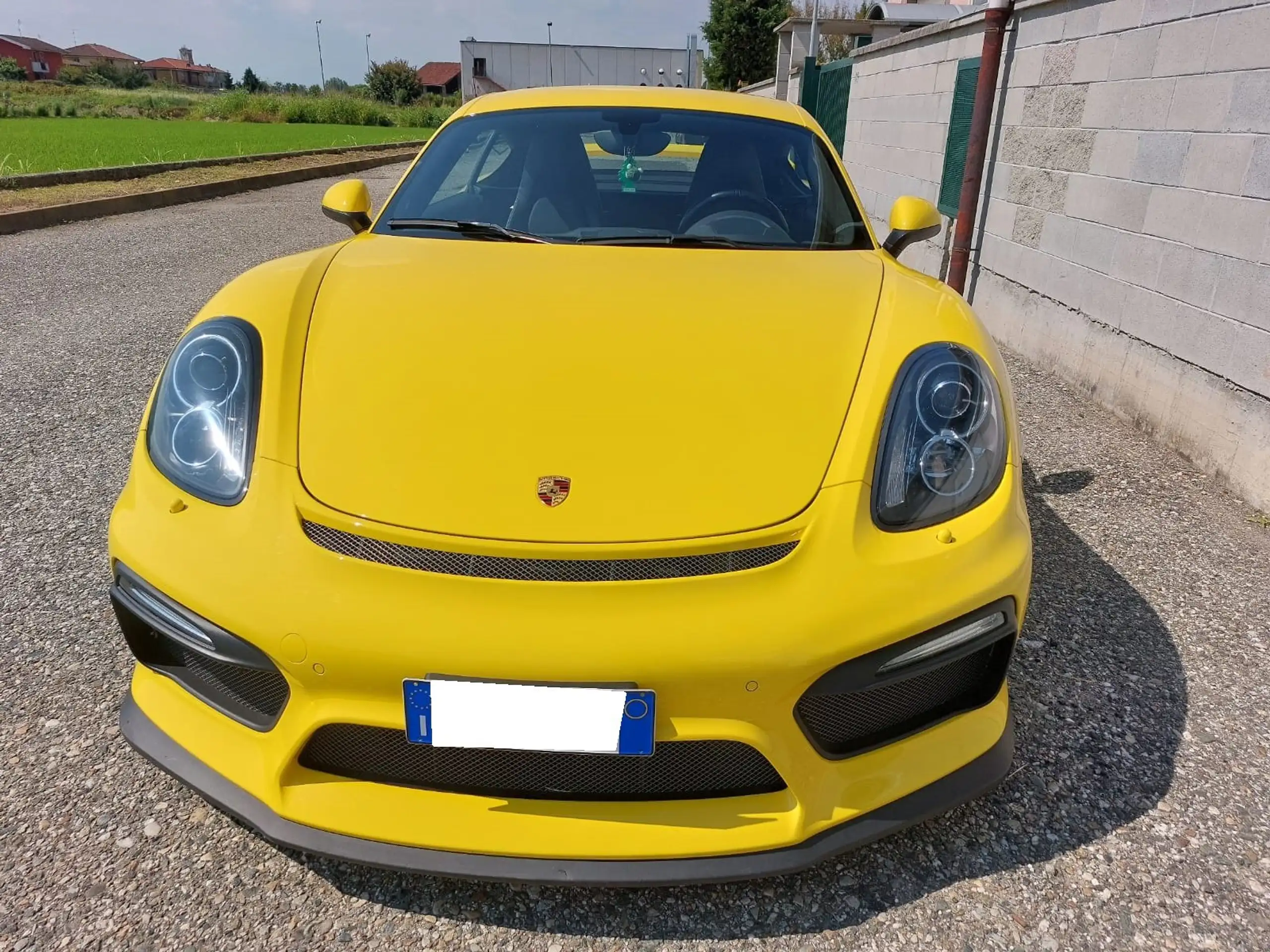 Porsche - Cayman