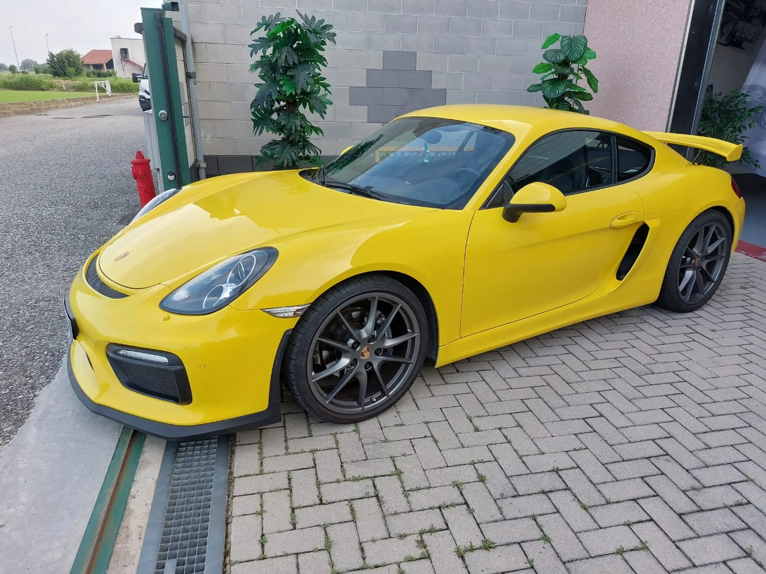 Porsche - Cayman