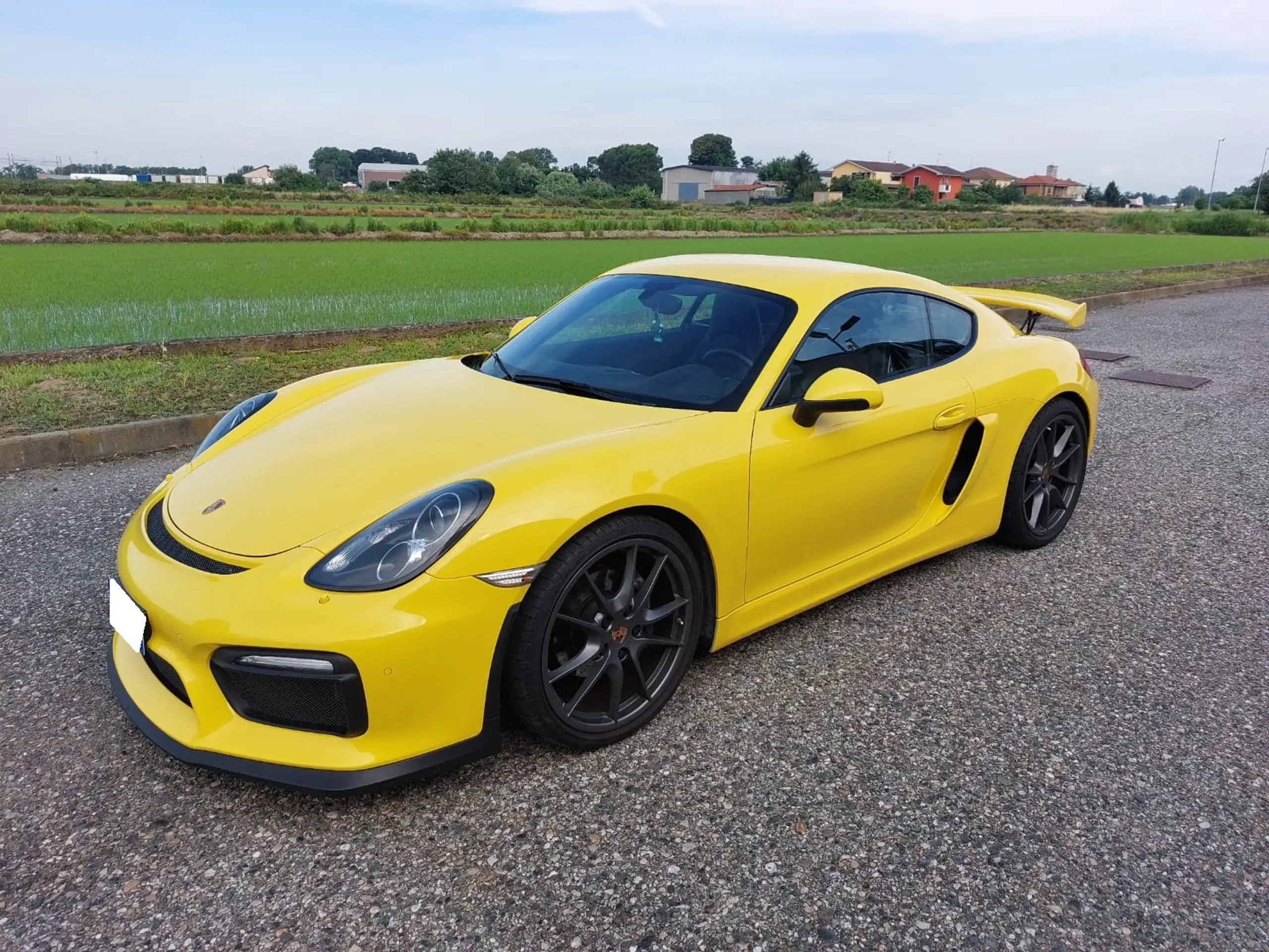 Porsche - Cayman