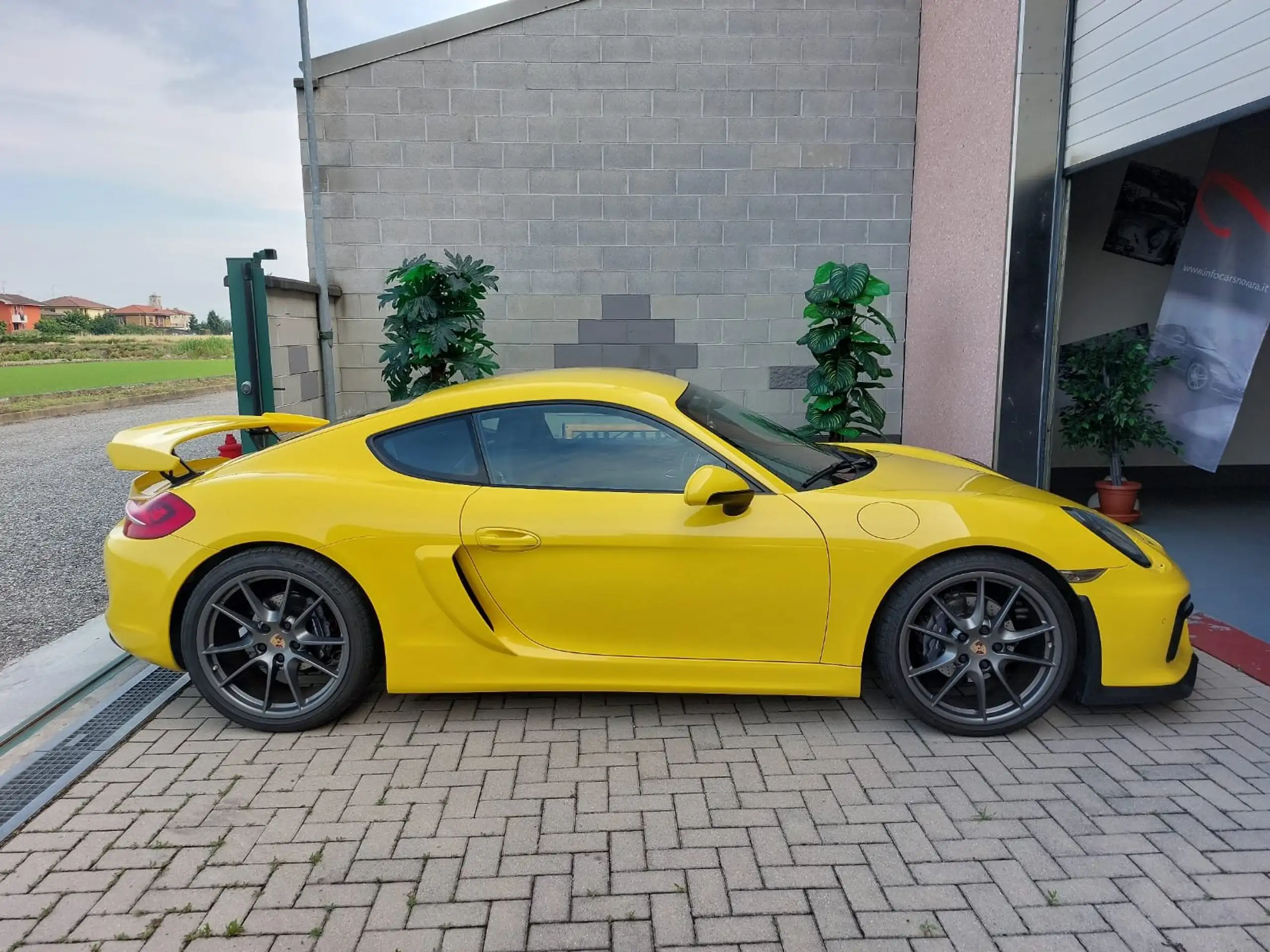 Porsche - Cayman