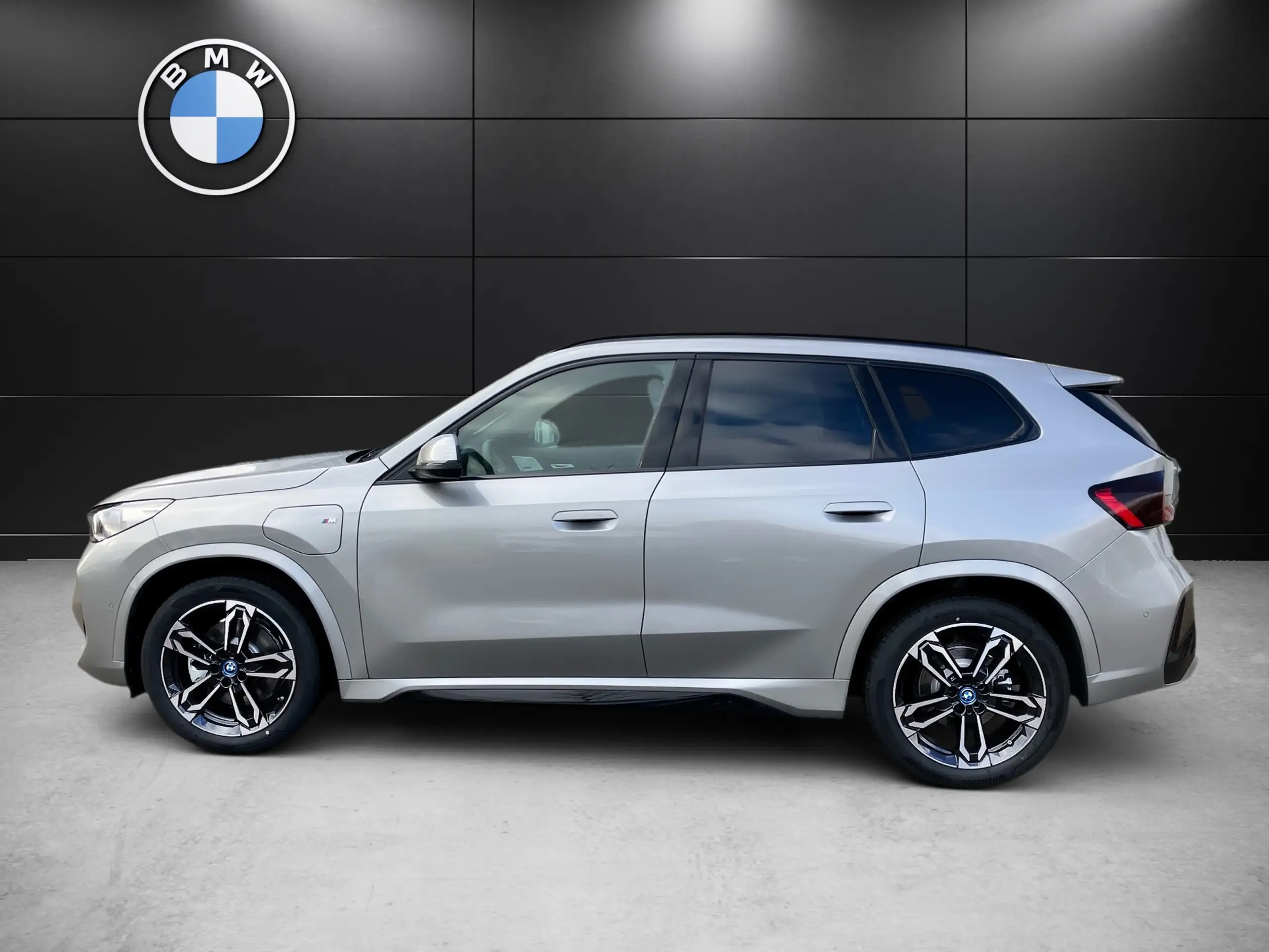 BMW - X1