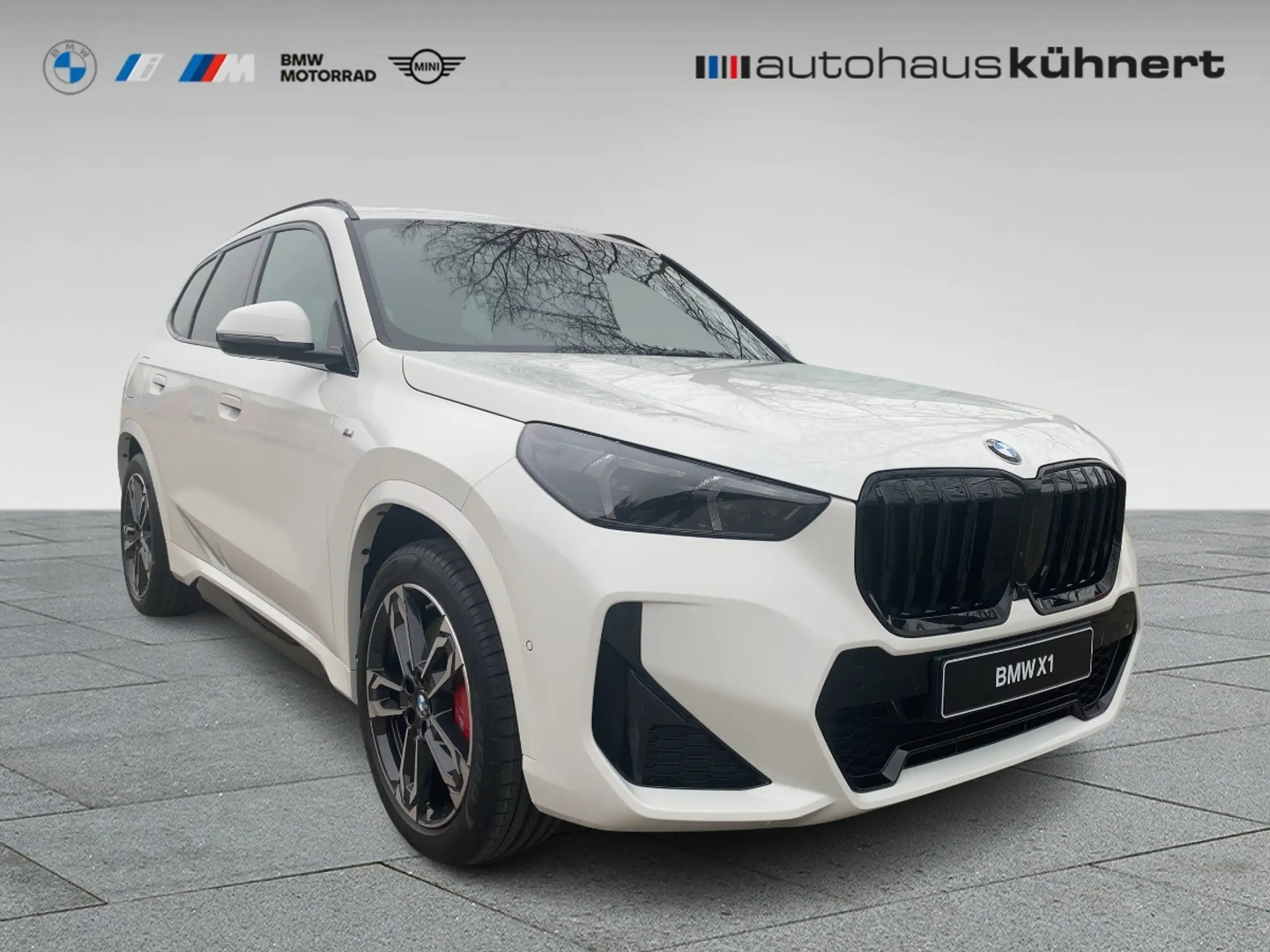 BMW - X1