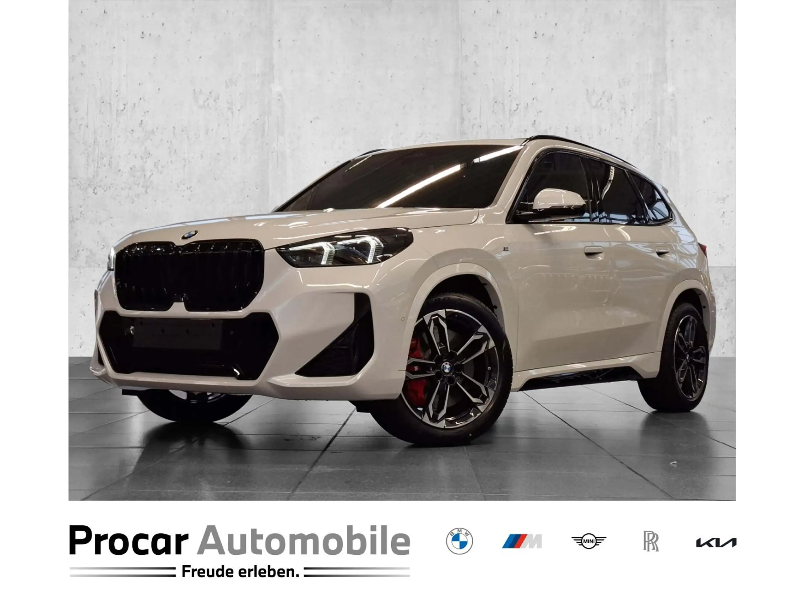 BMW - X1