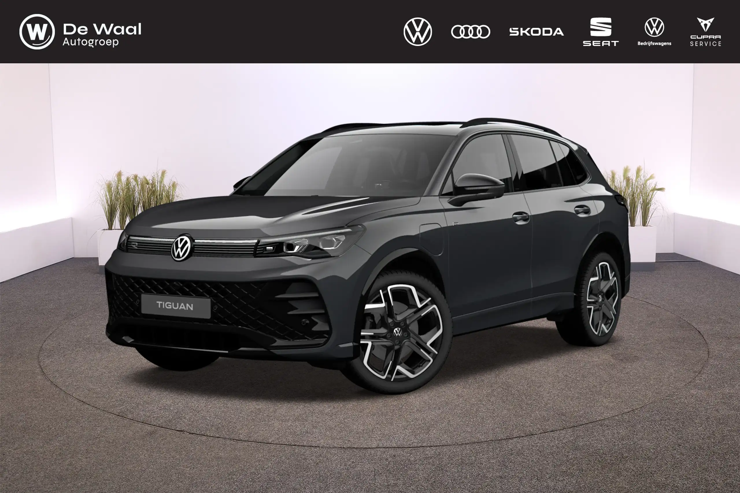 Volkswagen - Tiguan