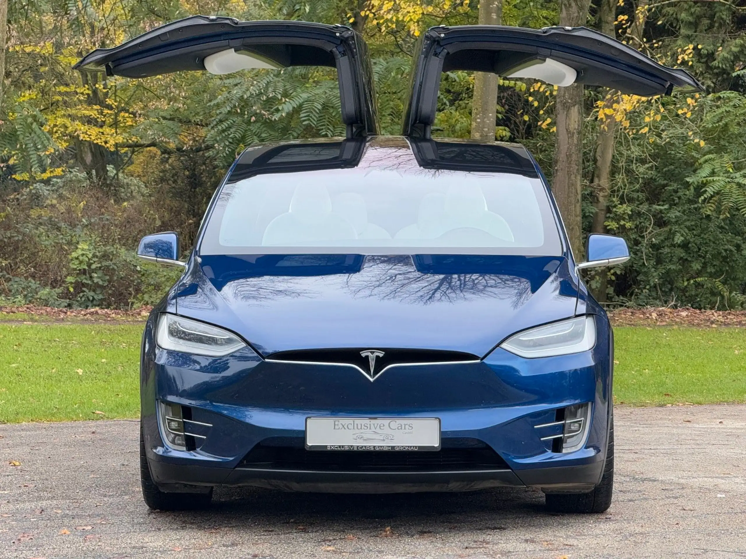 Tesla - Model X