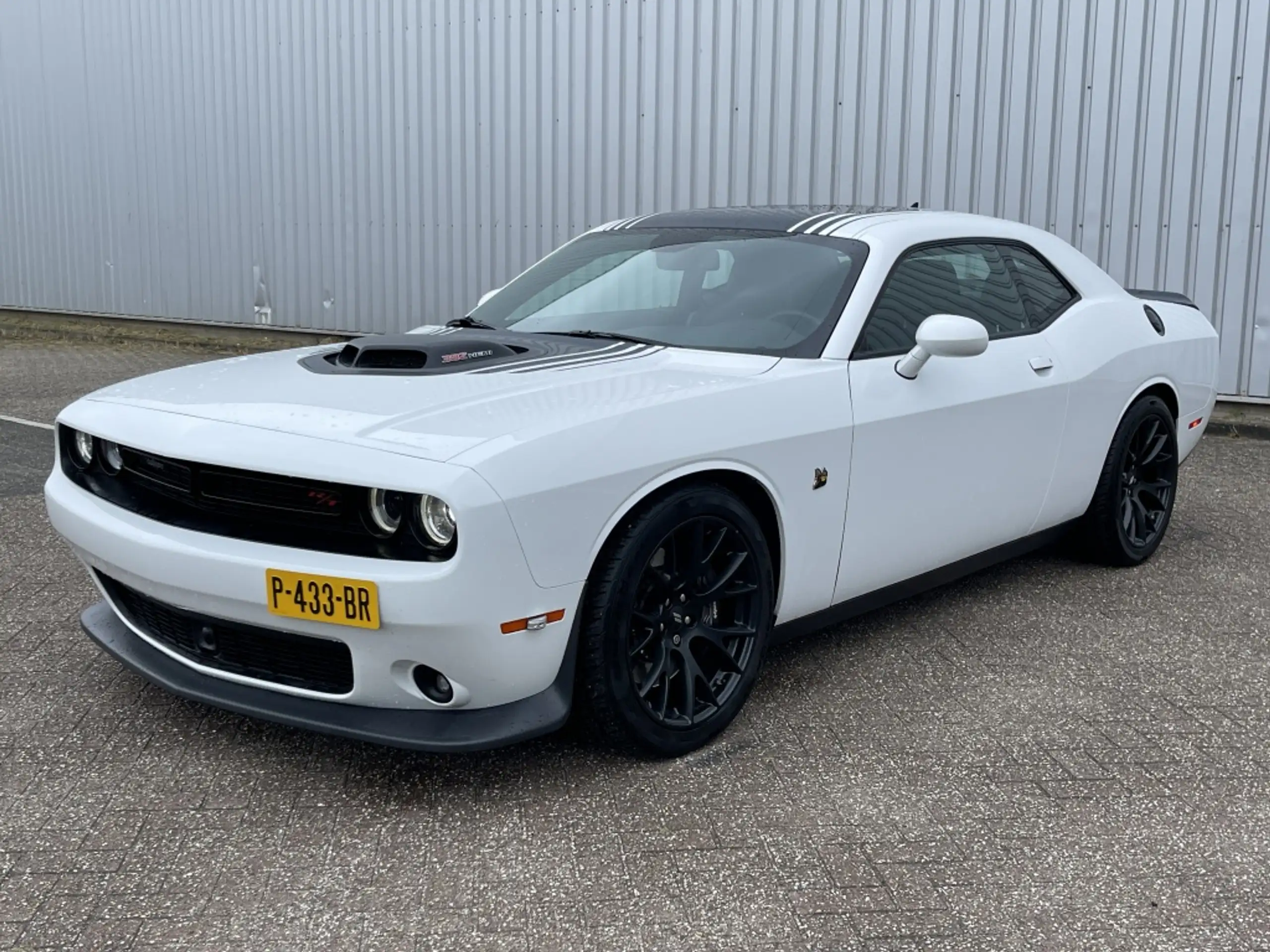 Dodge - Challenger