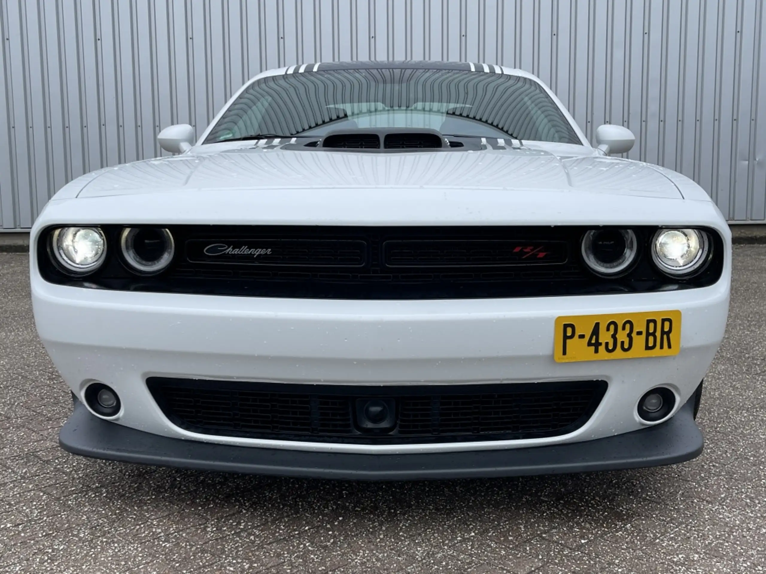 Dodge - Challenger