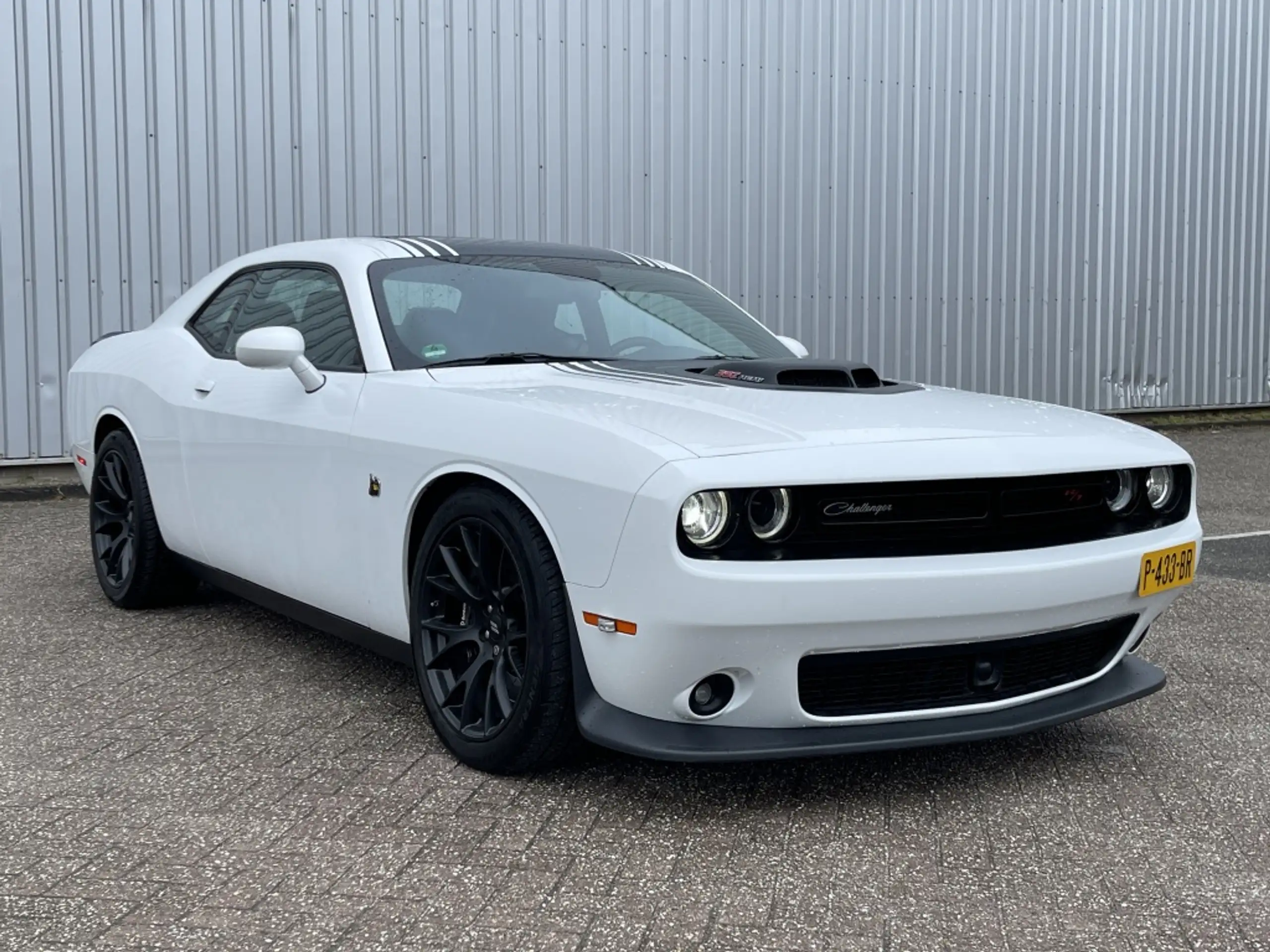 Dodge - Challenger