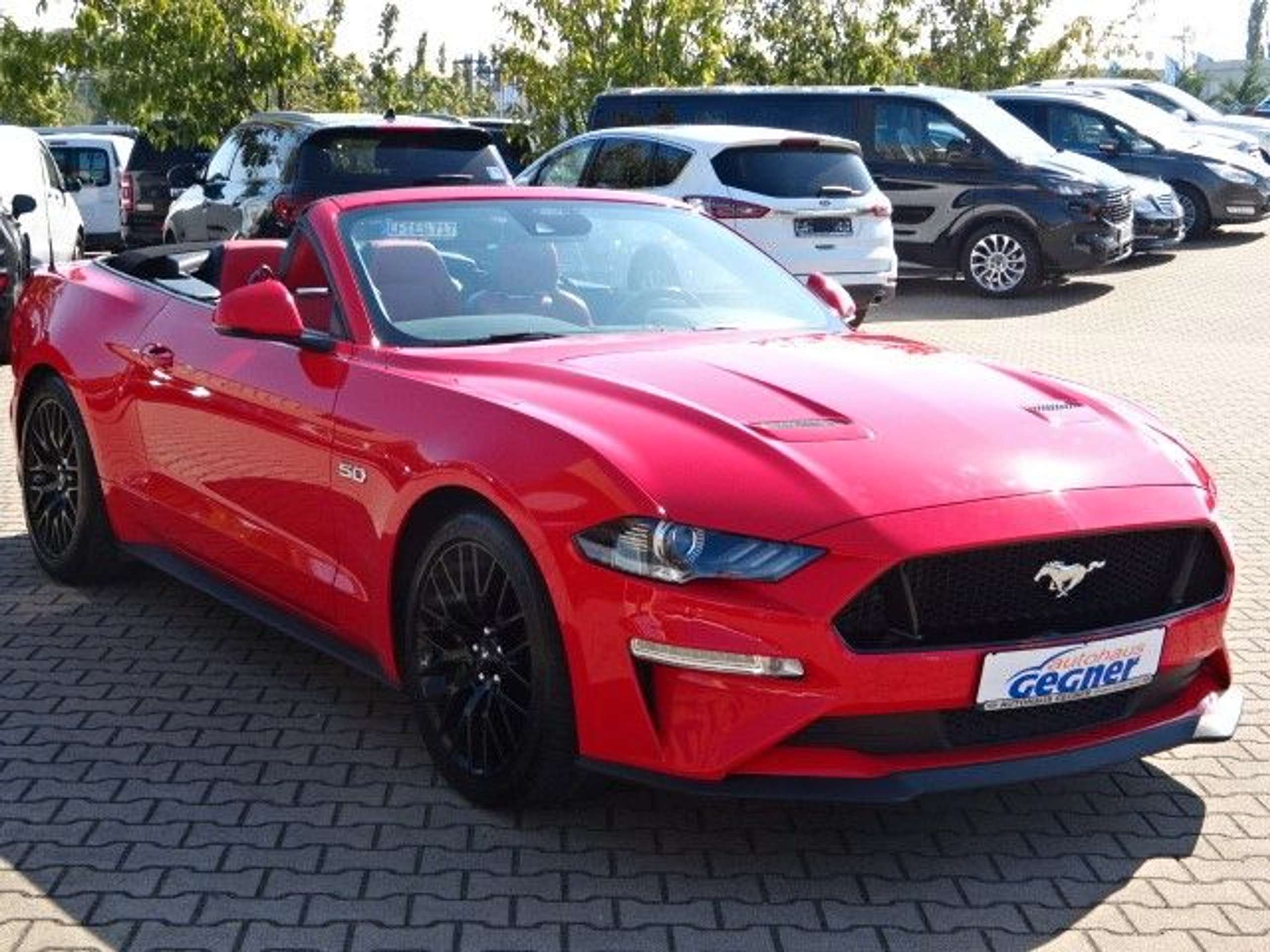 Ford - Mustang