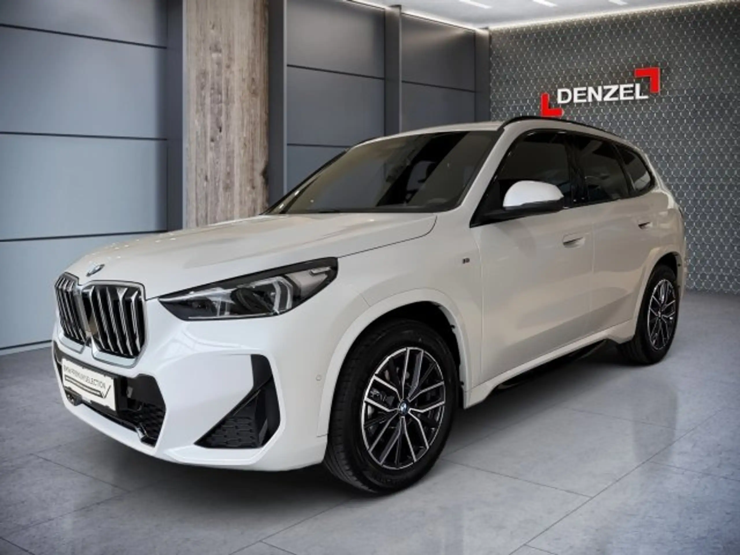 BMW - X1