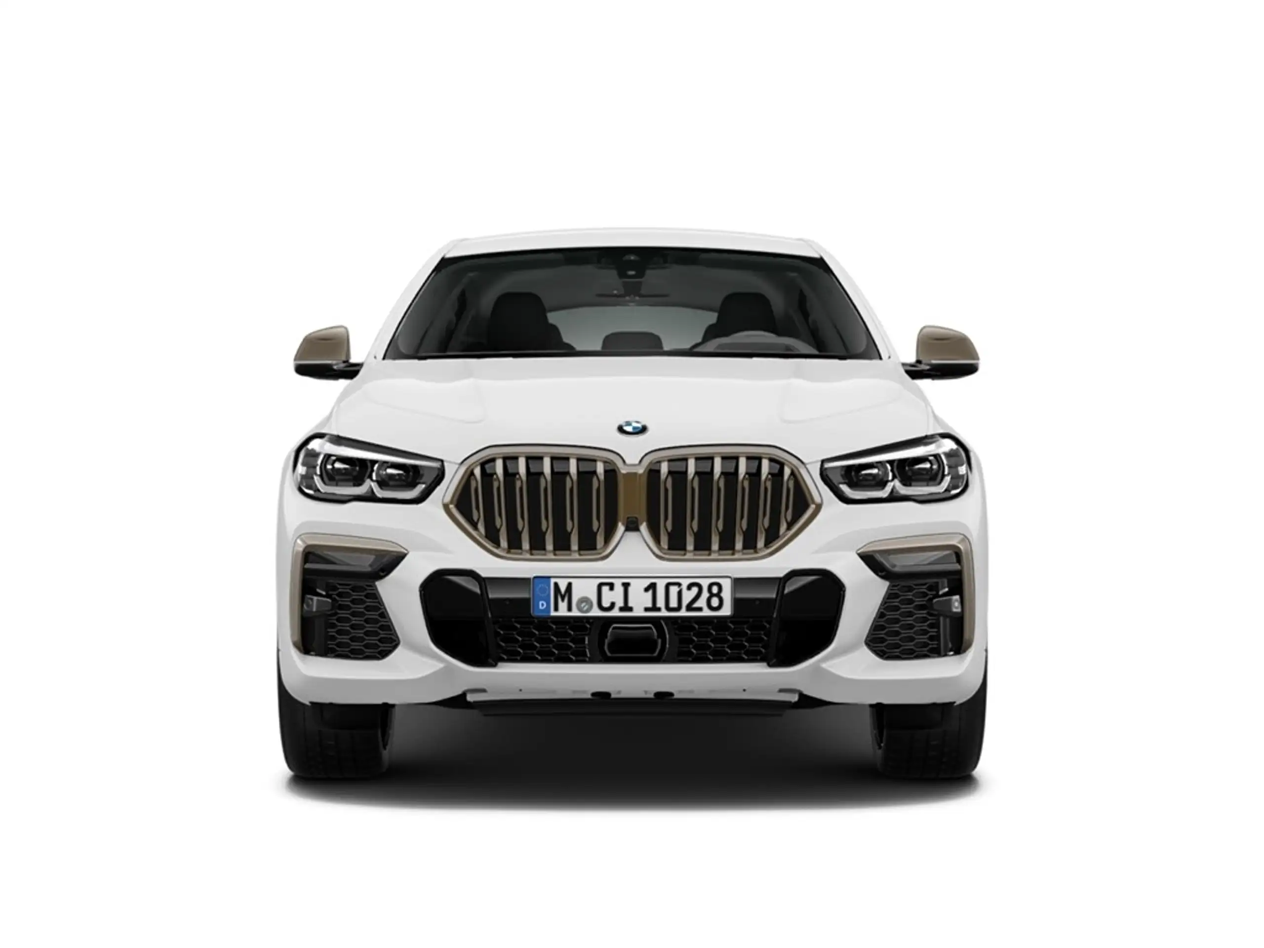 BMW - X6