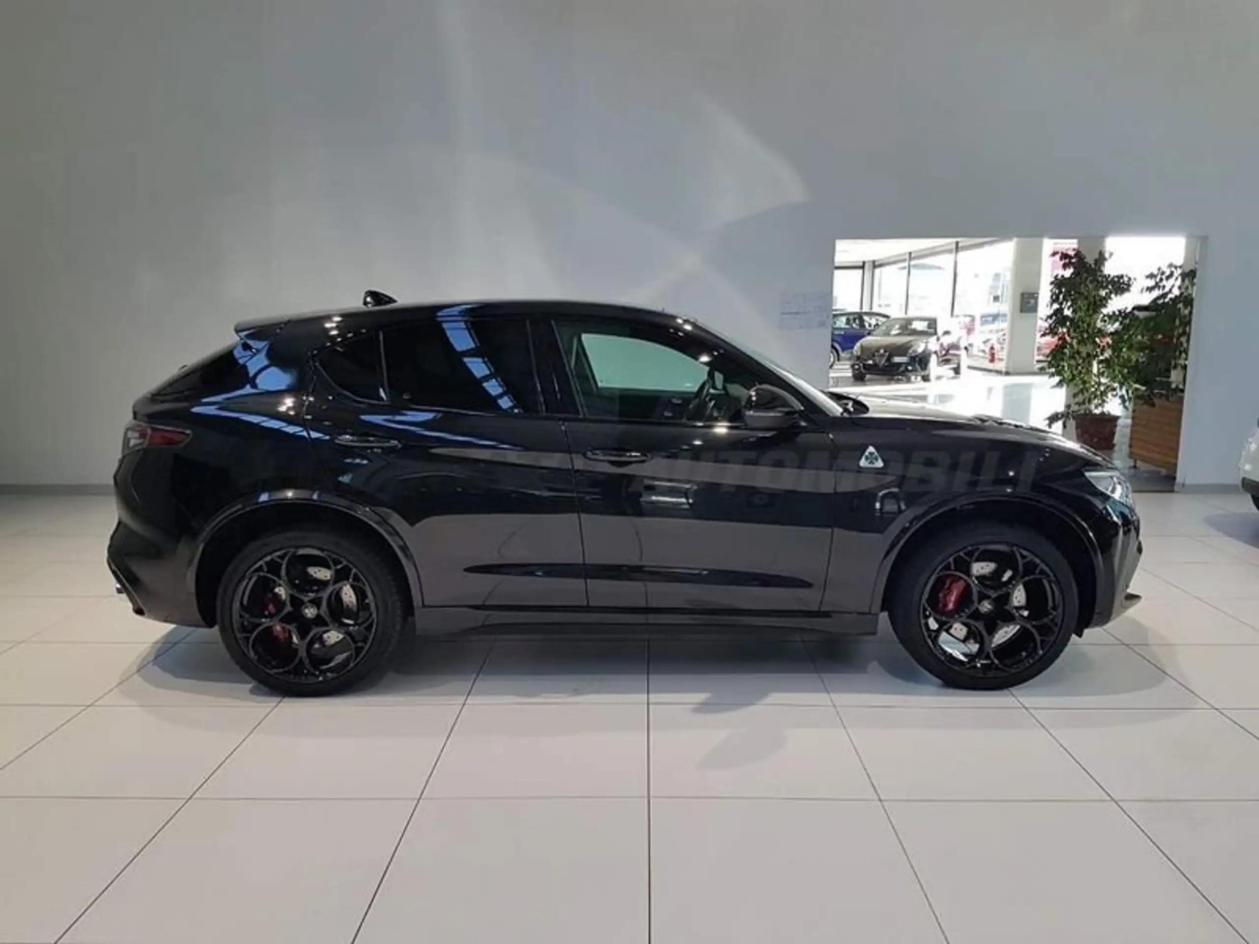 Alfa Romeo - Stelvio