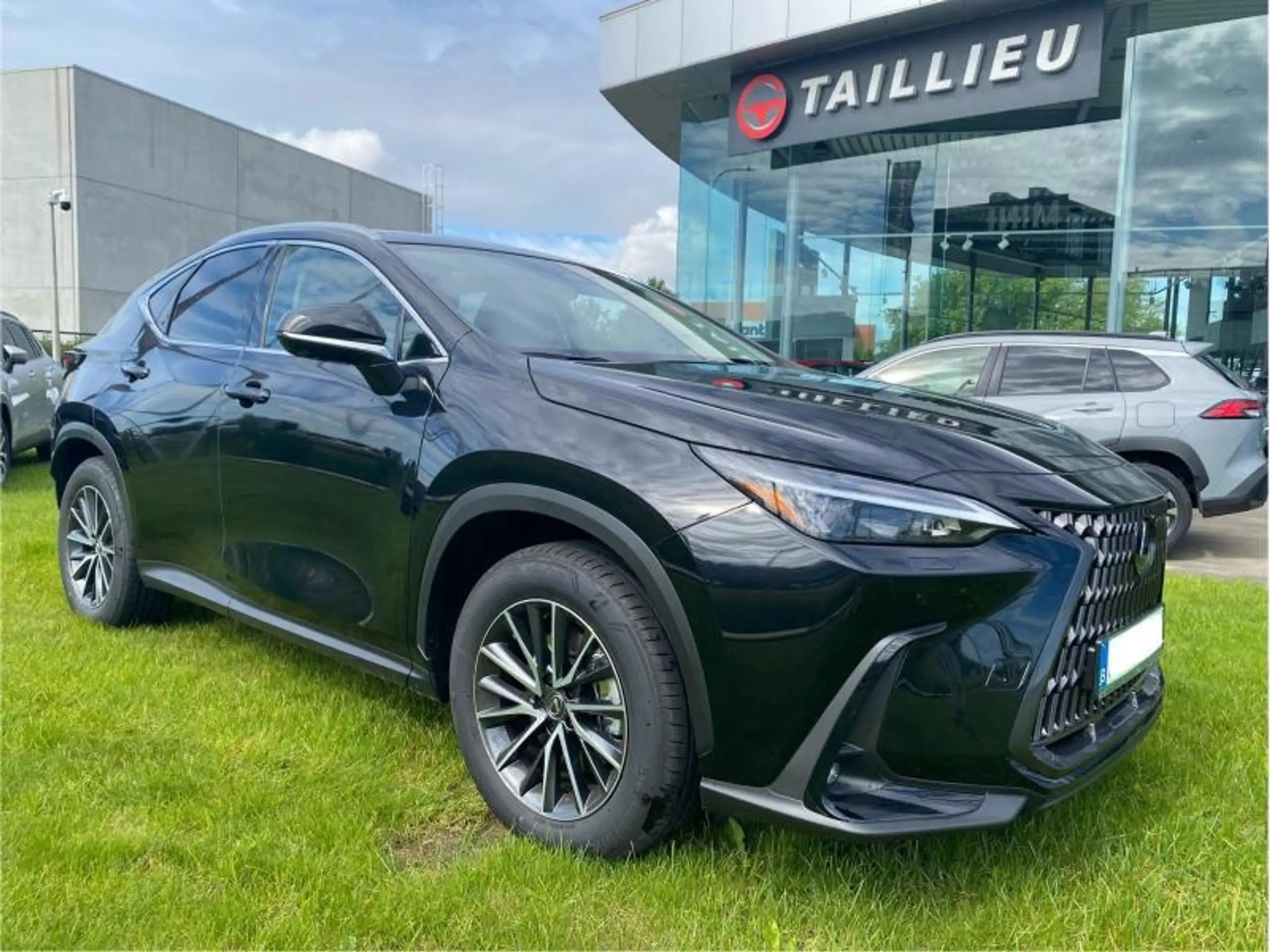 Lexus - NX 350h