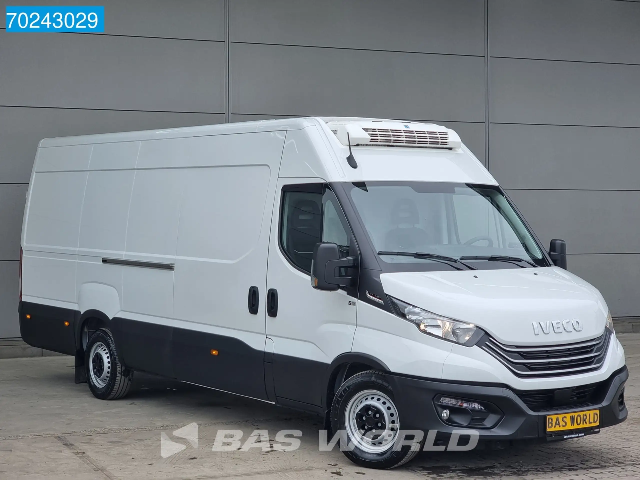 Iveco - Daily