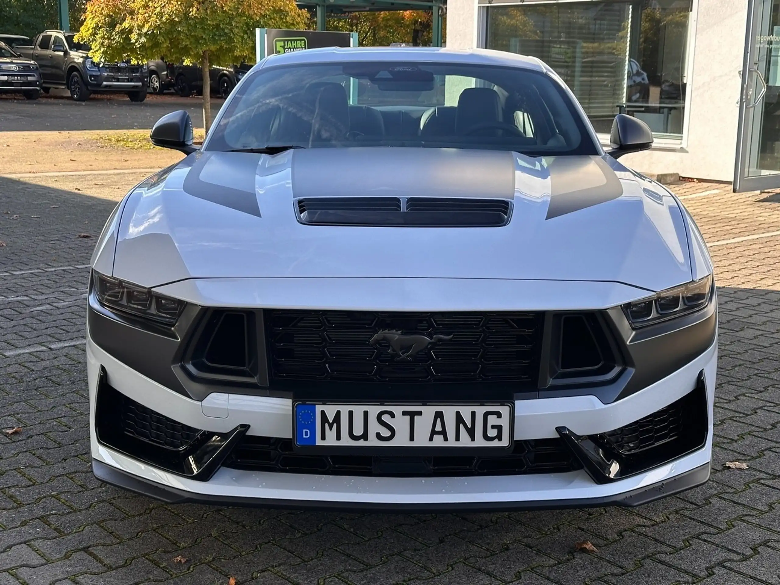 Ford - Mustang